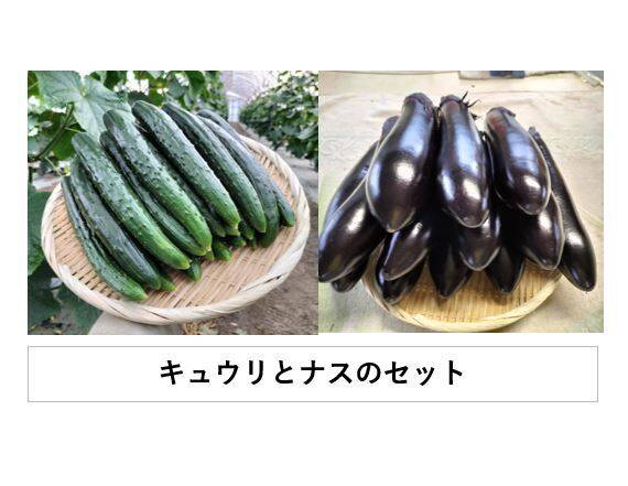 長なす箱込み約７キロ＋きゅうり箱込み約１０キロのセット 長なす箱込み約7キロ＋きゅうり箱込み約10キロのセット