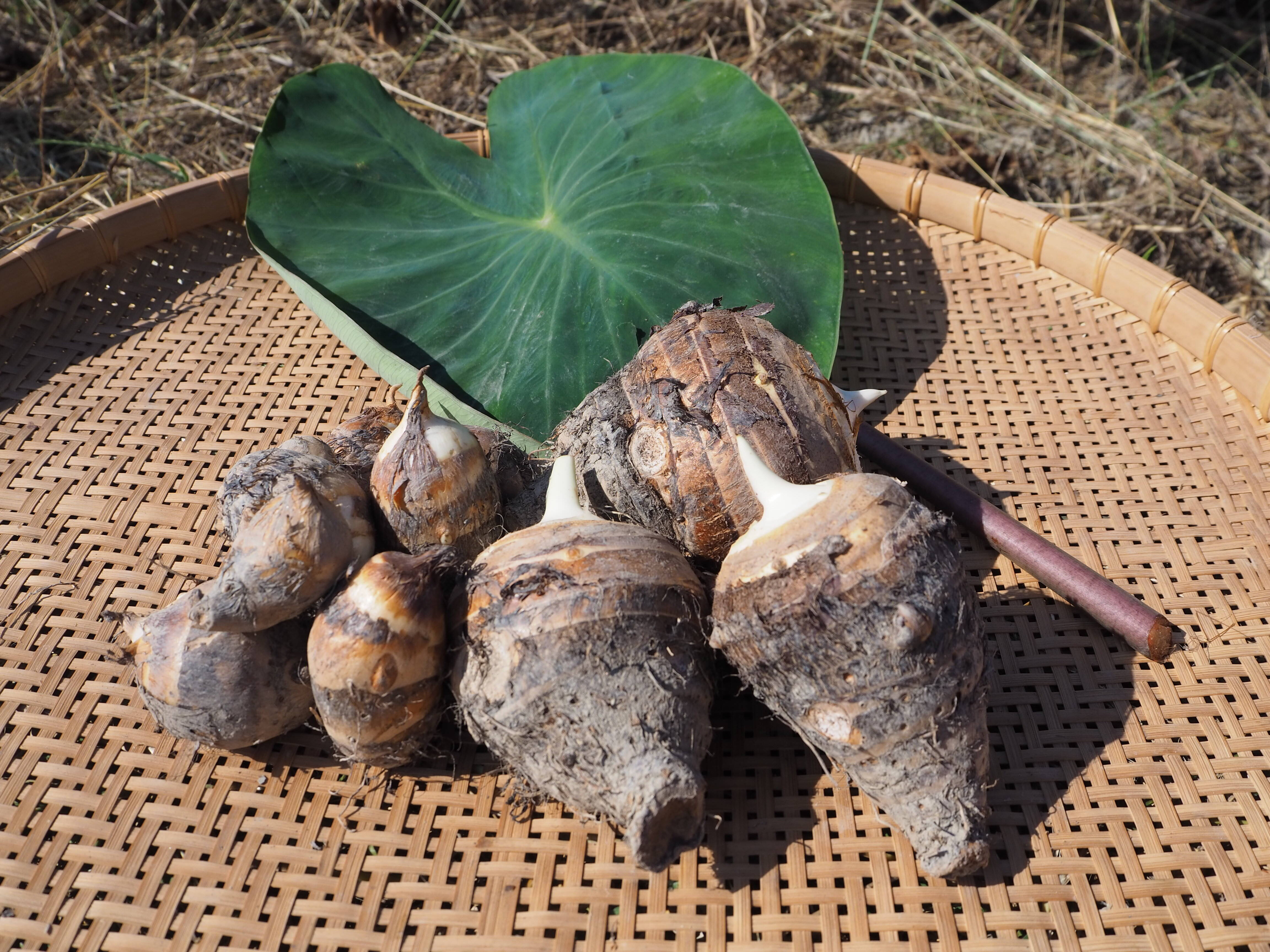 47859fe268f5f4af5c95231fdbc9f5