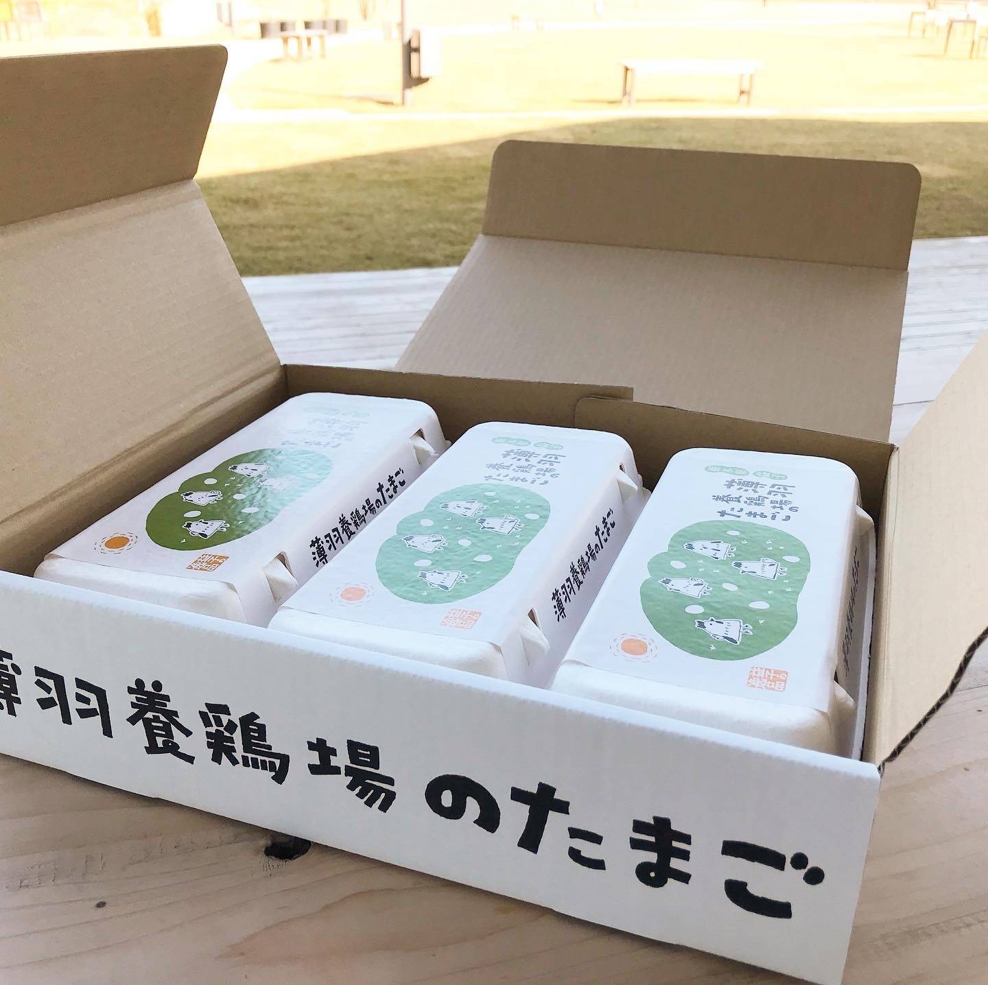 47a1e8319fdf252e82df6ecbf37be9