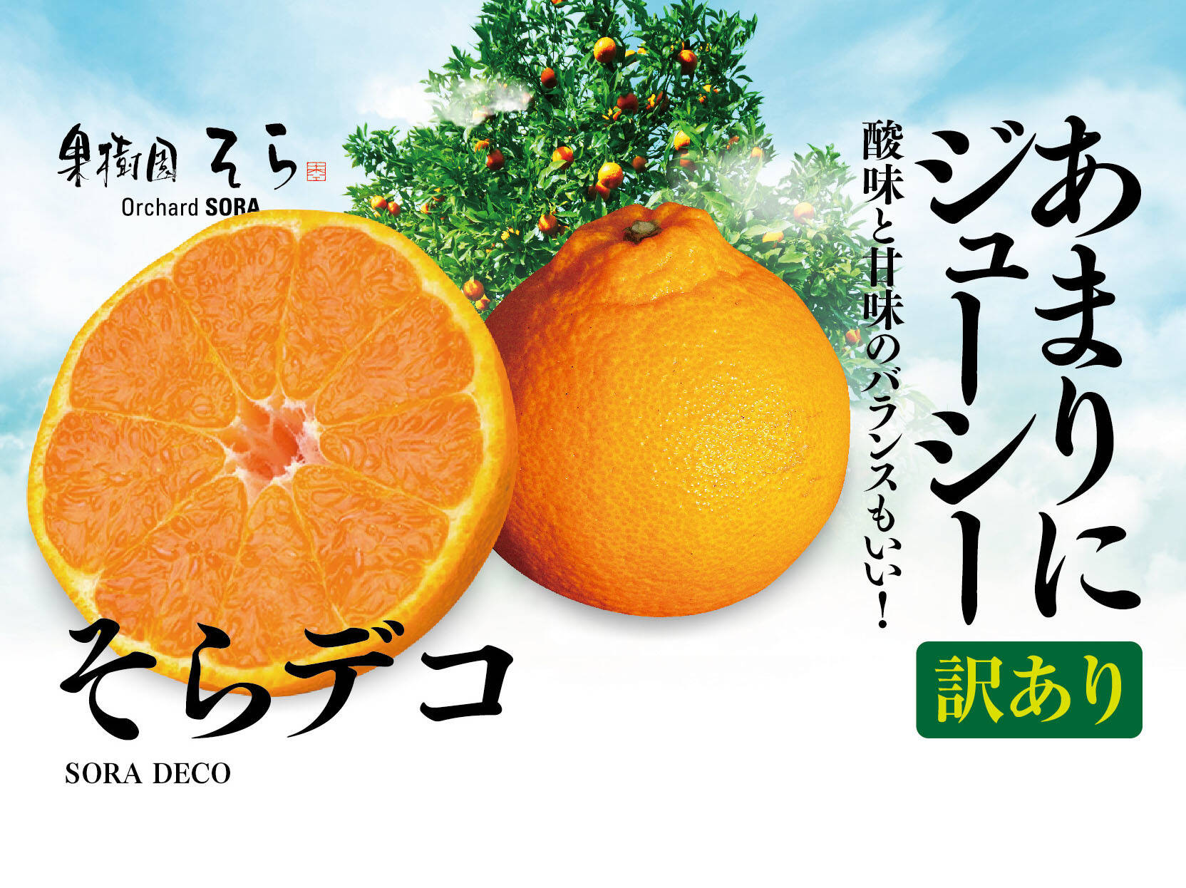 訳あり】そらデコ 不知火 天空の果樹園 愛媛産みかん 4kg：愛媛県産の