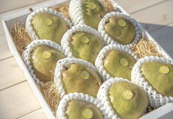 予約販売】 ☆甘くとろける～特秀ラフランス～（9～12玉入り）約3