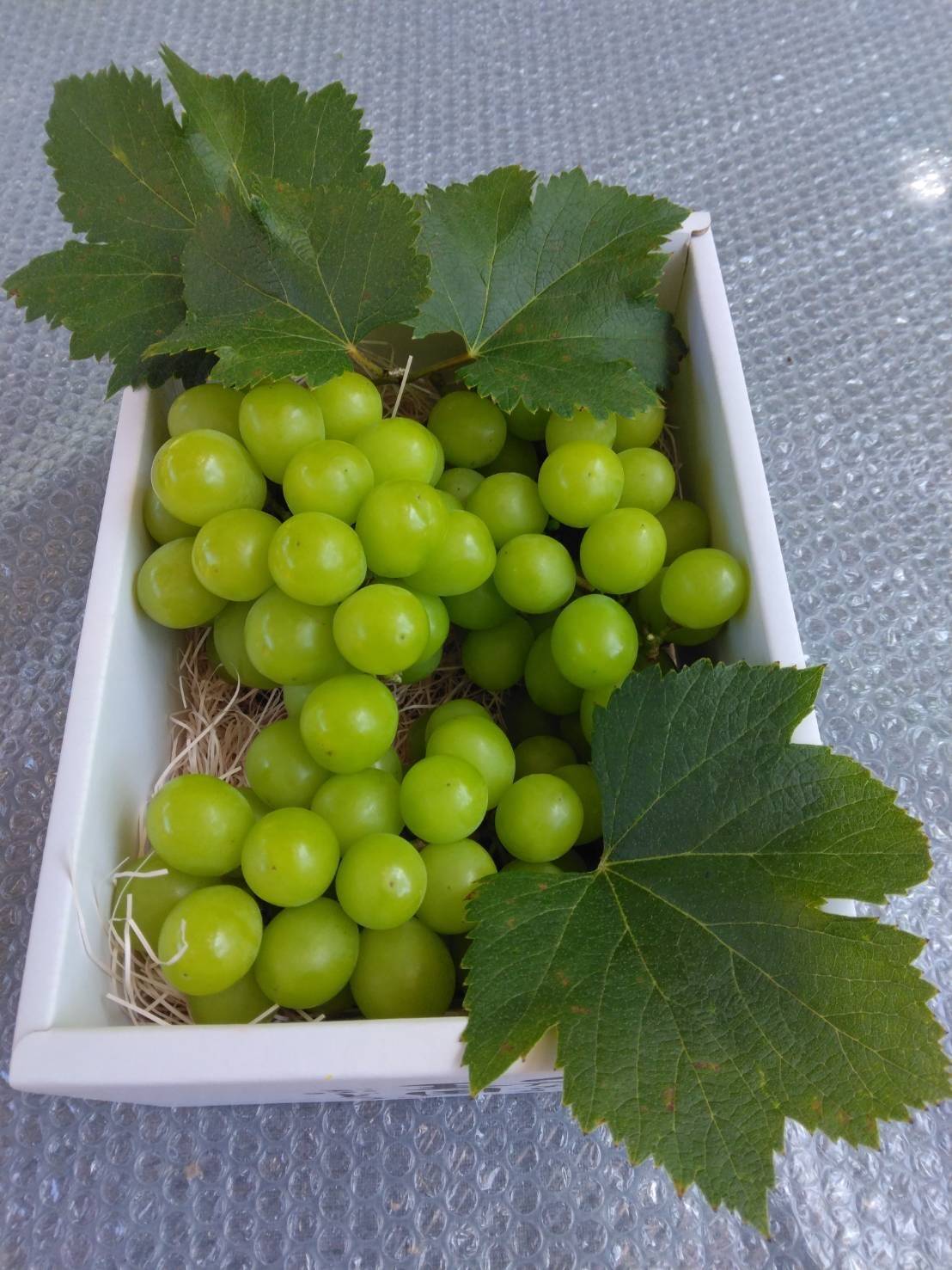 完売御礼‼️ありがとうございました。｜食べチョク｜産地直送(産直)お 