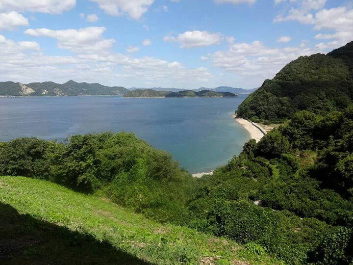 のむら農園へのレビュー・商品：愛媛県｜食べチョク｜産地直送(産直)お取り寄せ通販 農家・漁師から旬の食材を直送