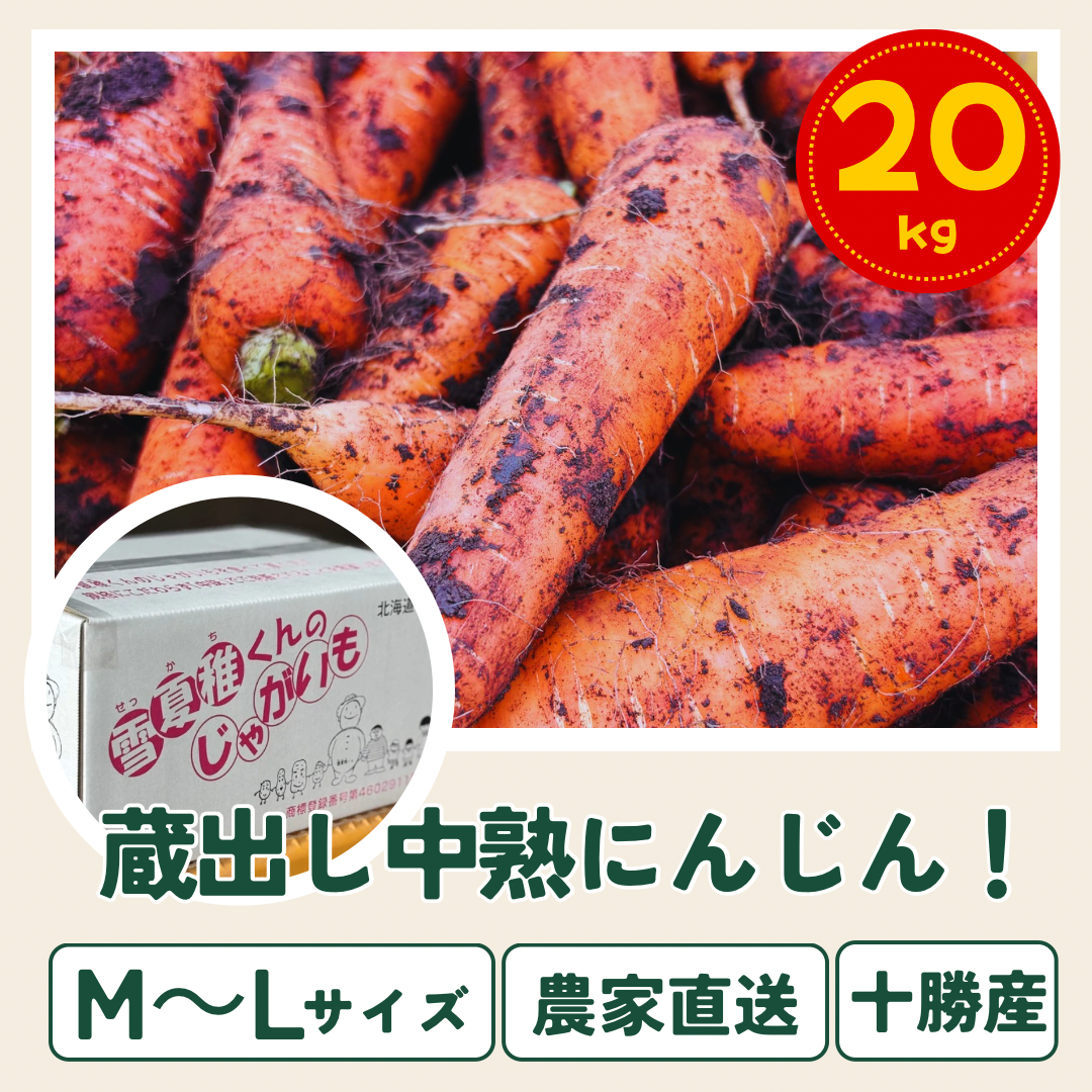 にんじん様 蔵出しのご褒美※十勝浦幌産の雪の中の中熟にんじん20kg：北海道産の