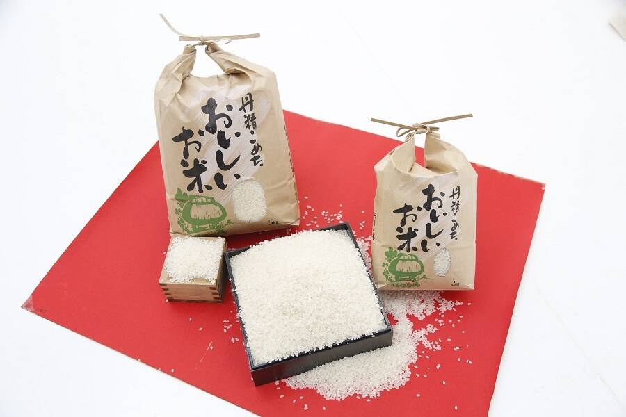 自慢のお米 5kg 令和６年５月精米淡路島県産こしひかり 48242b9caf87a8751f7667bb422f75