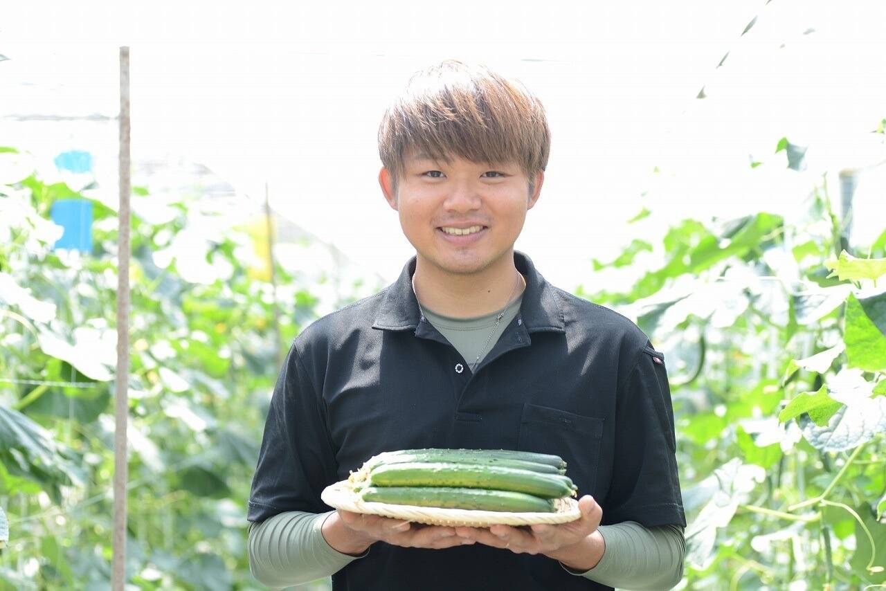 素直なきゅうり (50本)1日2名様限定：埼玉県産のキュウリ｜食べチョク｜産地直送(産直)お取り寄せ通販 - 農家・漁師から旬の食材を直送