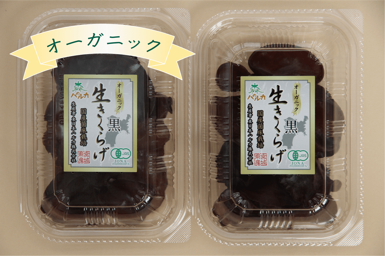 オーガニック】生きくらげ100ｇ×2個セットA（黒100ｇ×2パック）：宮城