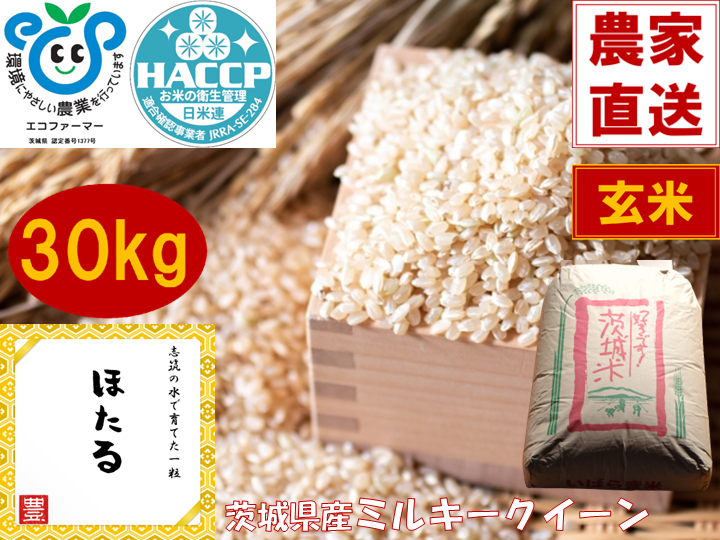 茨城県産　ミルキークイーン　玄米　30 令和7年産】茨城県産ミルキークイーン ほたる玄米30㎏：茨城県産