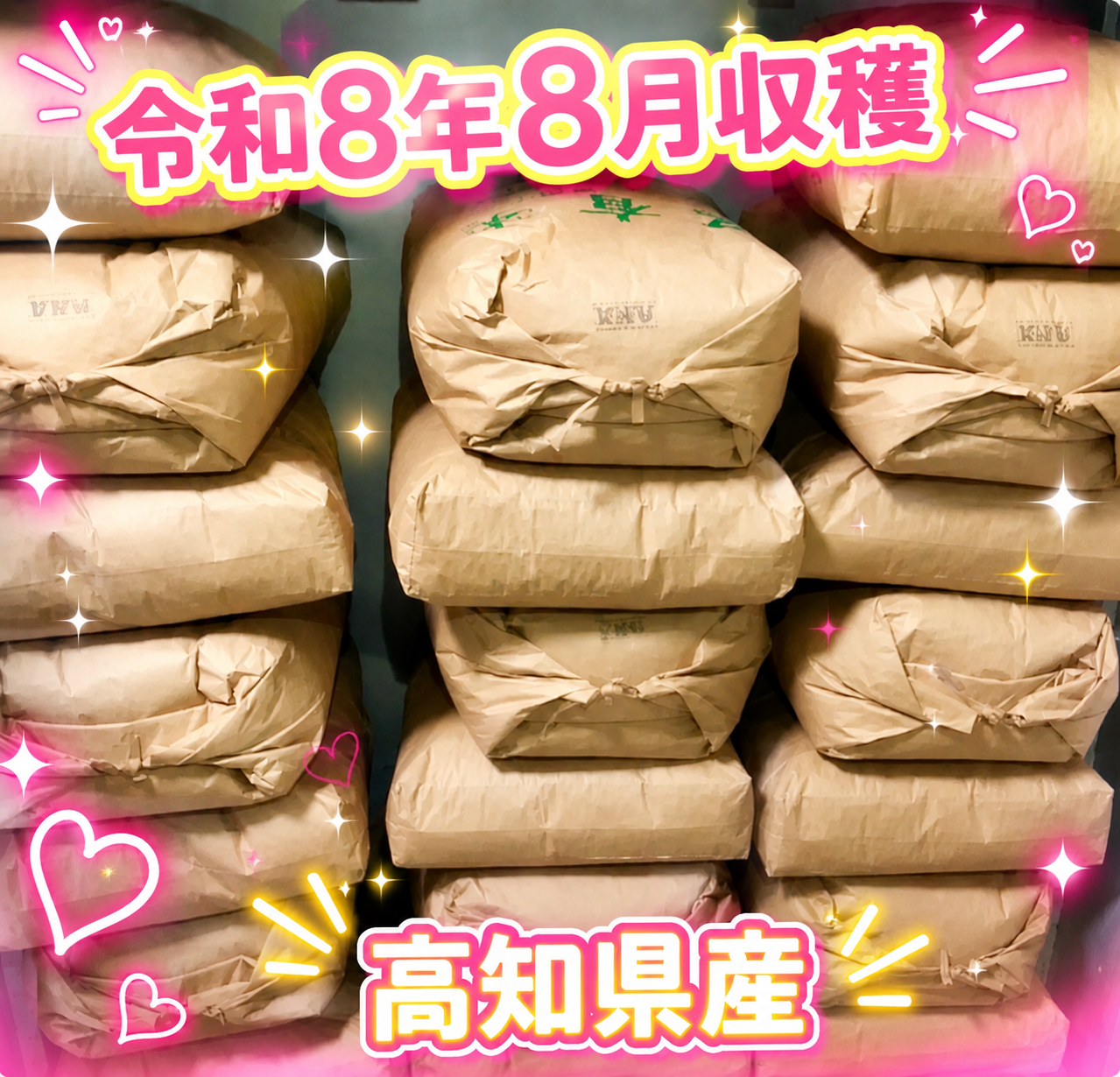 🌟40袋限定🌟令和8年8月収穫新米❣高知産コシヒカリ🌾玄米30kg✨ 節減