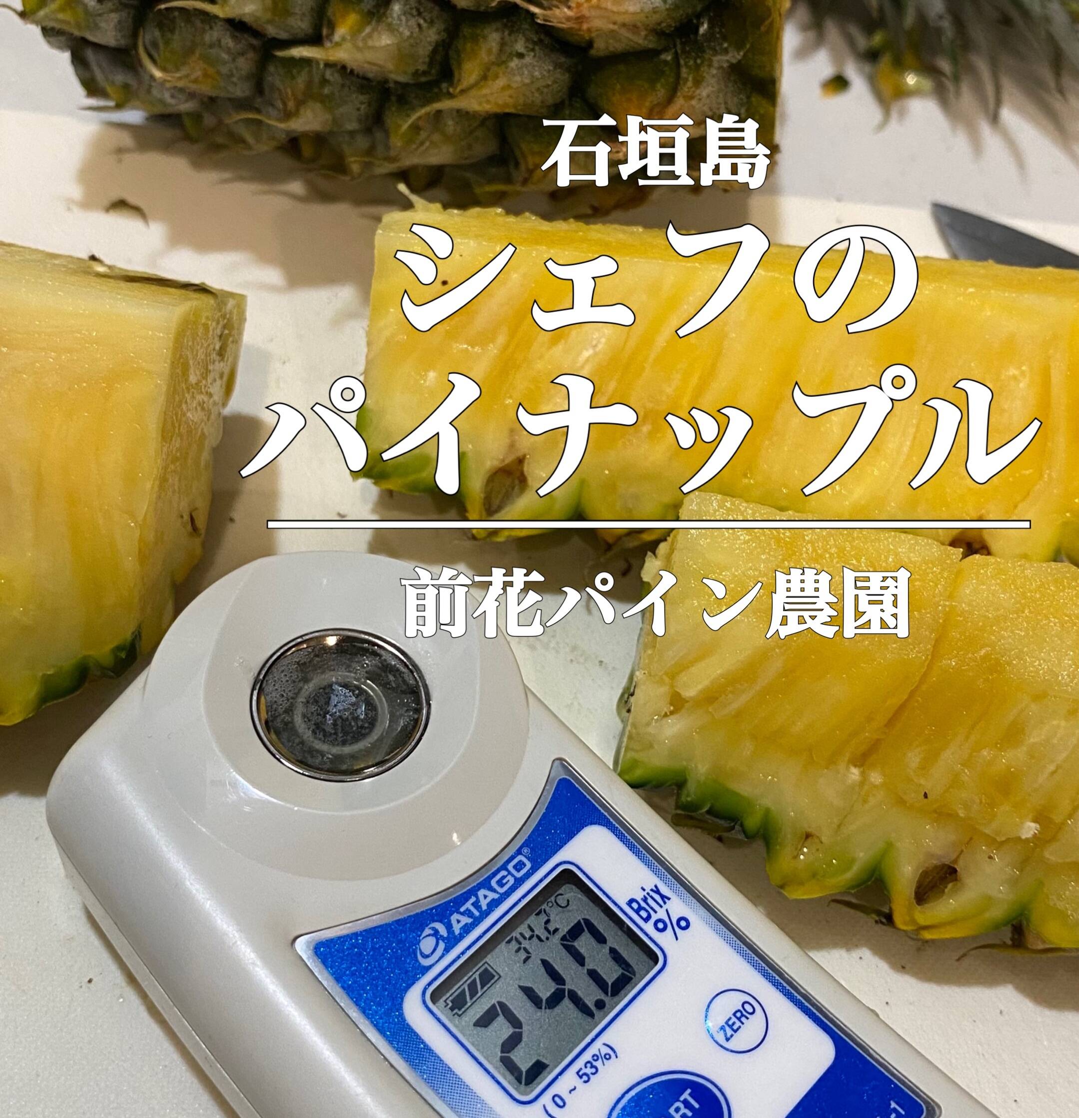 石垣島直送】手でポコットちぎっても食べらる。濃厚ポコットパイン 5kg 