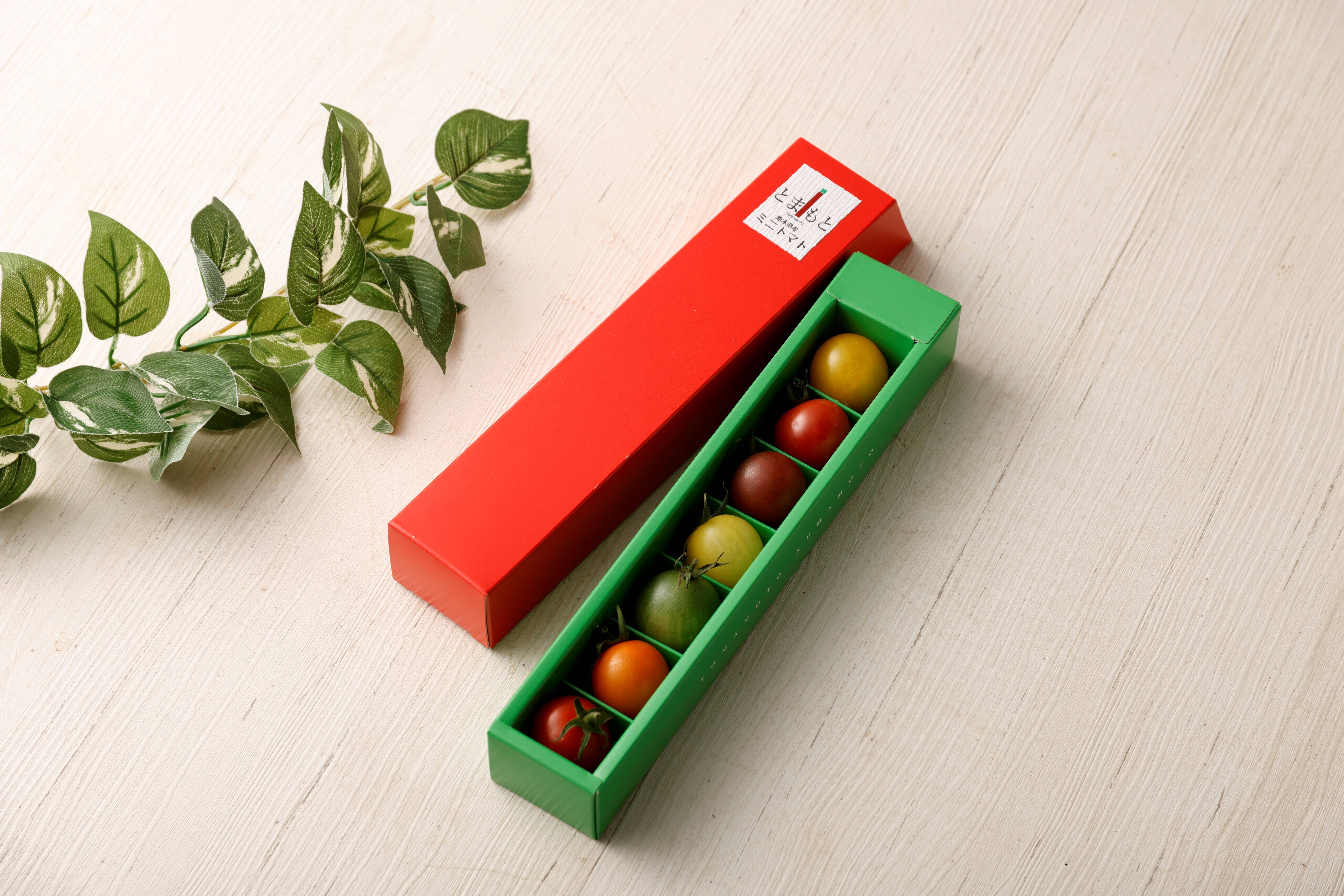 食べ比べ】7色カラフルミニトマト：熊本県産：ギフトメッセージ対応