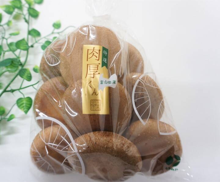 D【2袋セット】🍄菌床しいたけ「特選 肉厚くん」🍄10万粒の中から