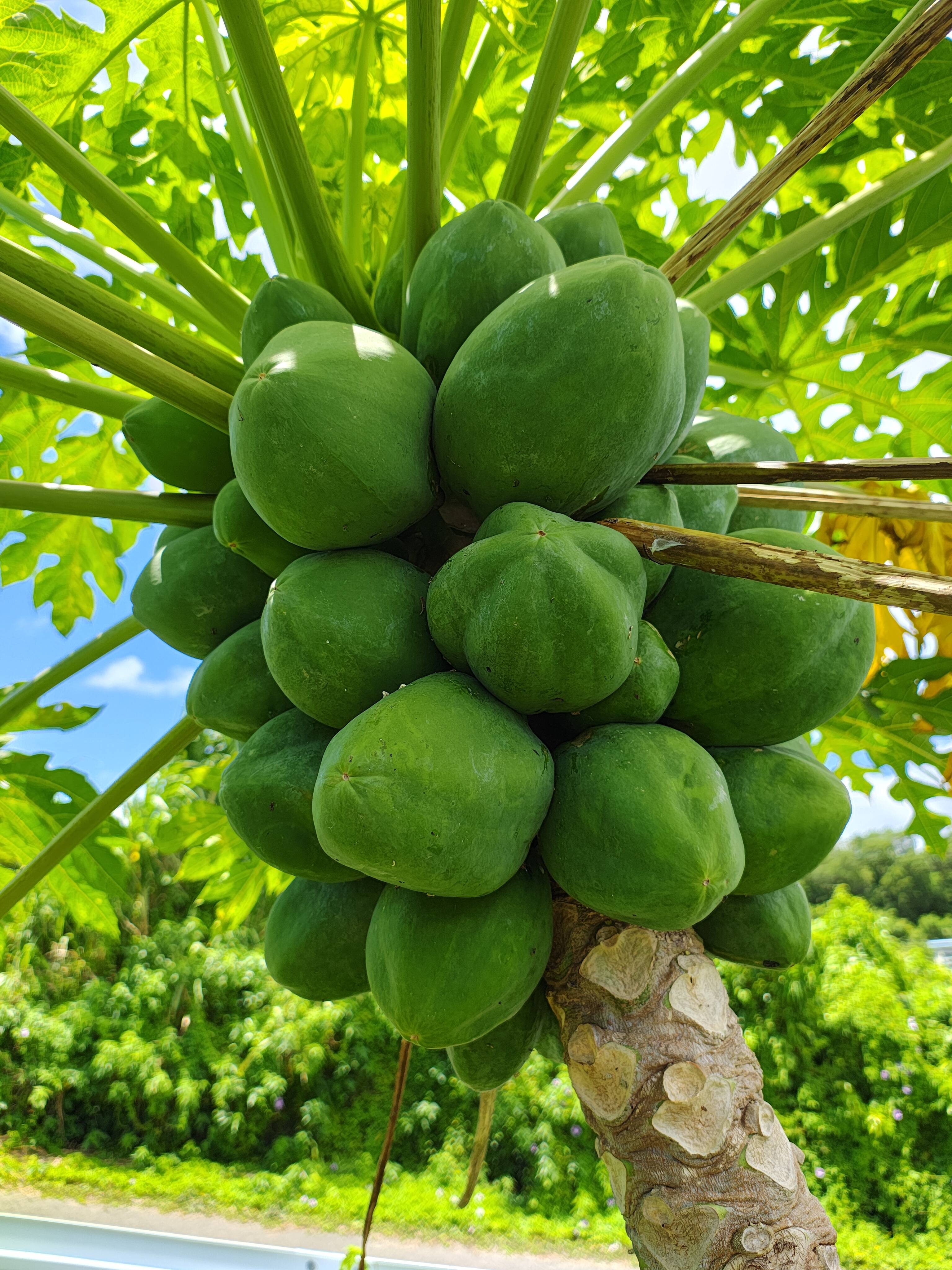 491b523c71fe3df9a3fbf3587a5613