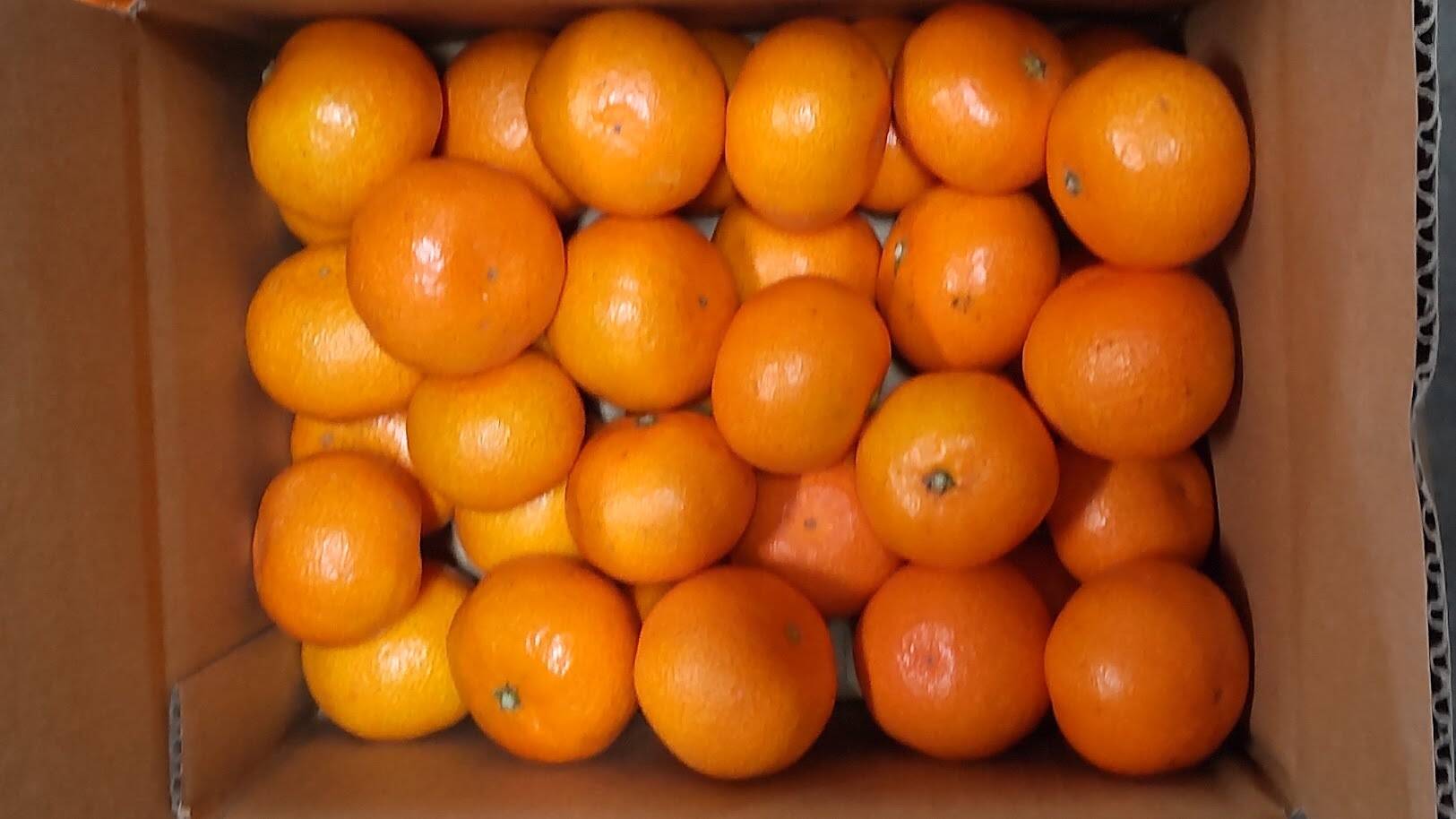 4931ffb1575440d1a00941fef450de