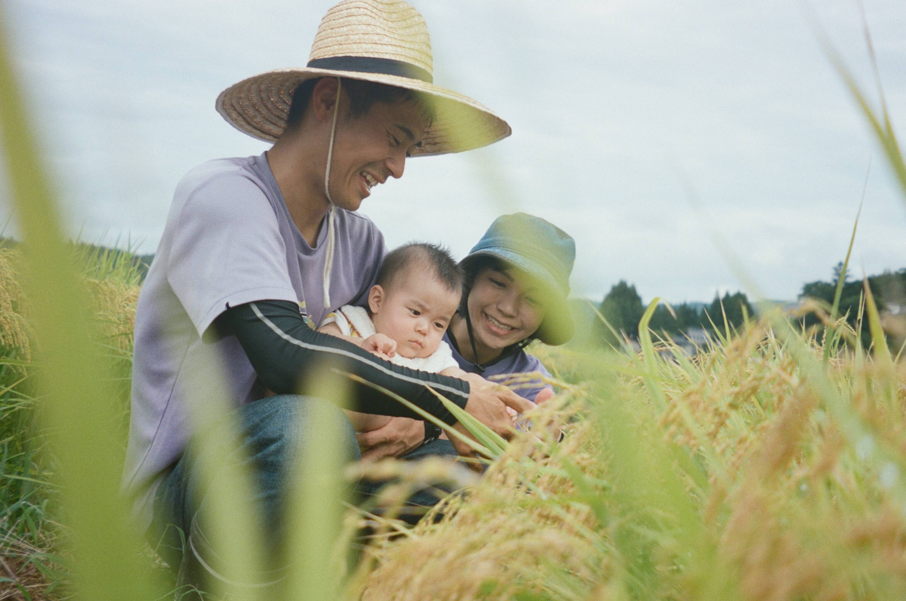 令和7年新米】特別栽培米ひとめぼれ玄米5キロ：岩手県産のお米