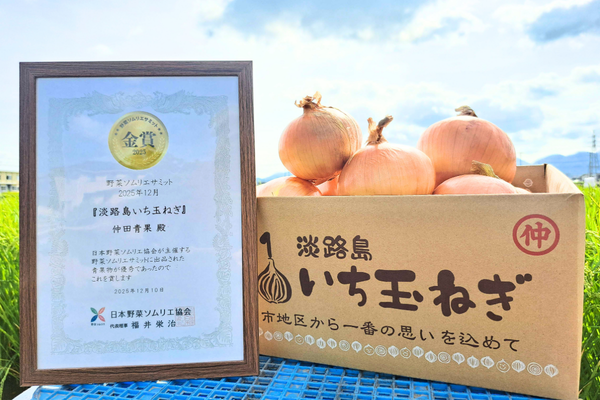 淡路島産　新赤玉ねぎ 20kg 秀品　期間限定 祝!3年連続金賞🏆】淡路島玉ねぎ20kg【9周年感謝祭】：兵庫県産の