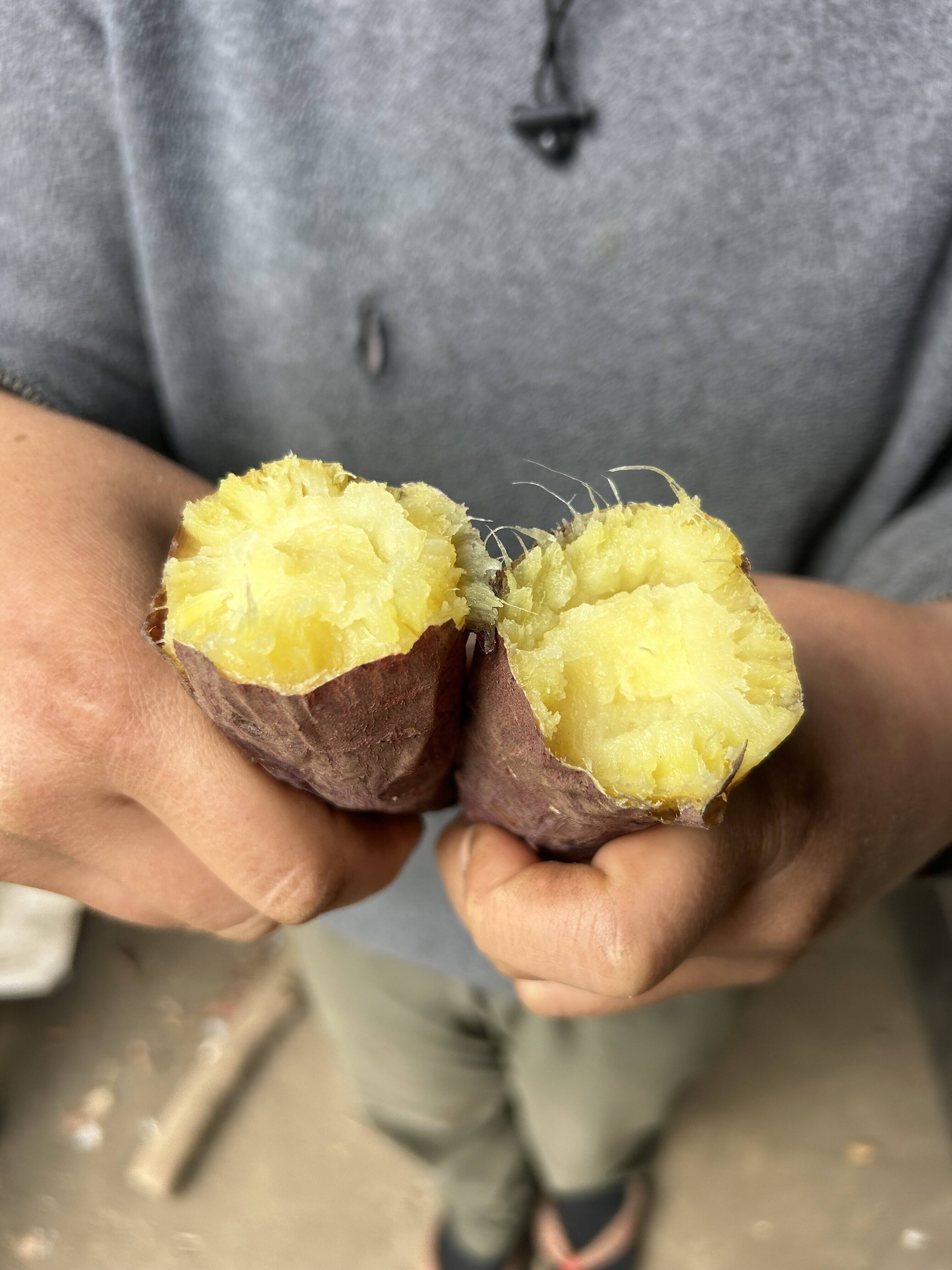 熊本県産オーガニックさつまいも！シルクスイート【上品で甘すぎない