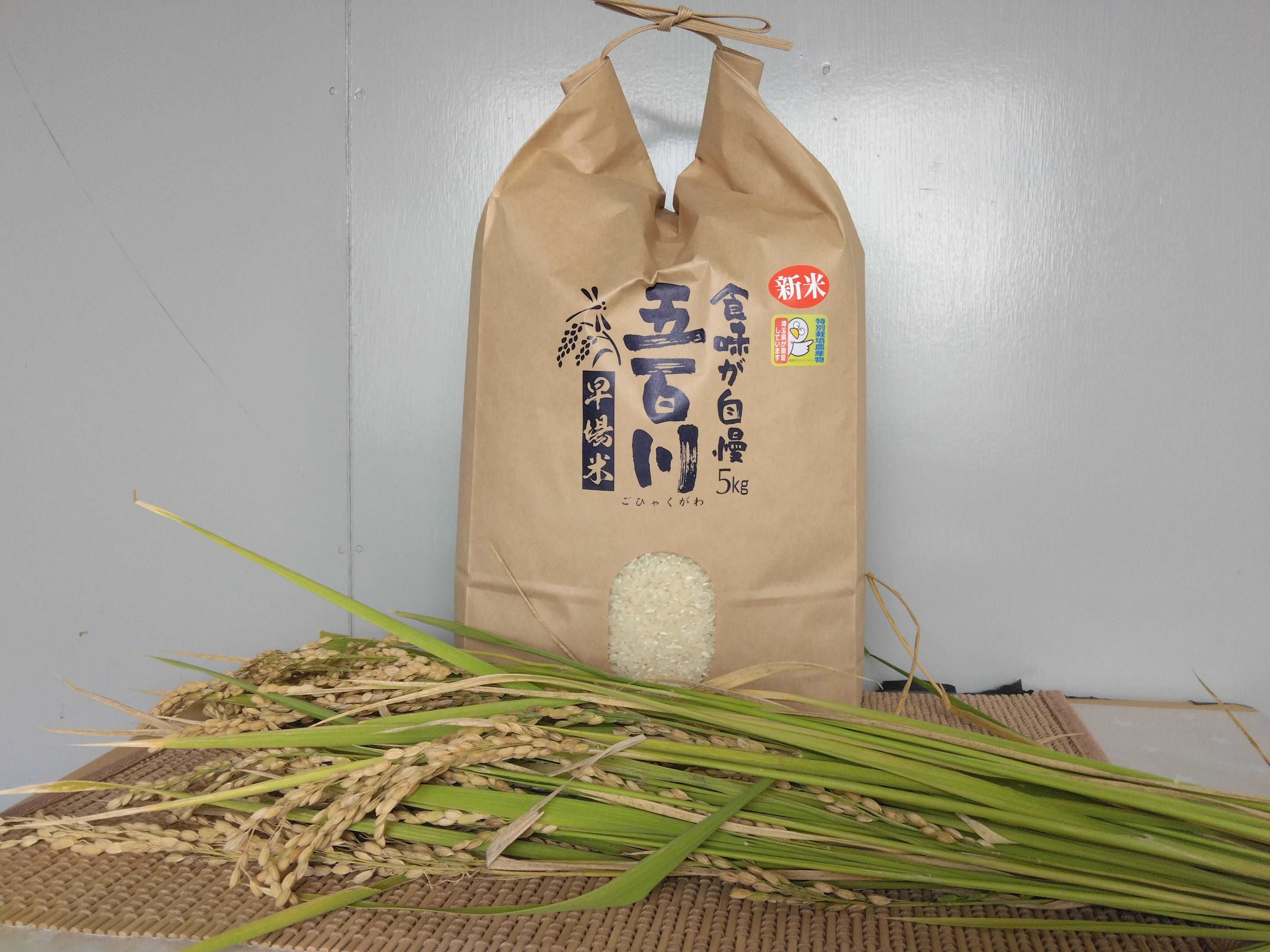 新米　令和5年産　五百川精米5㎏　特別栽培米