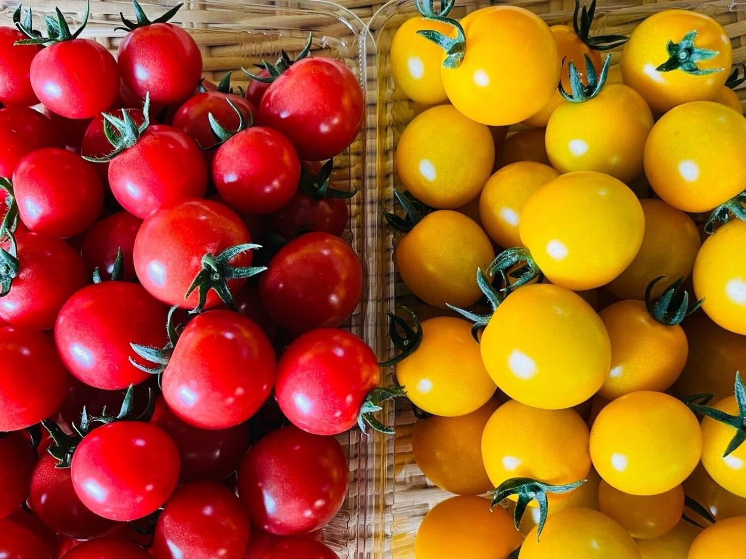 超激安格安 tomatoさん専用の通販 by ri's shop｜ラクマ aigp.com.py