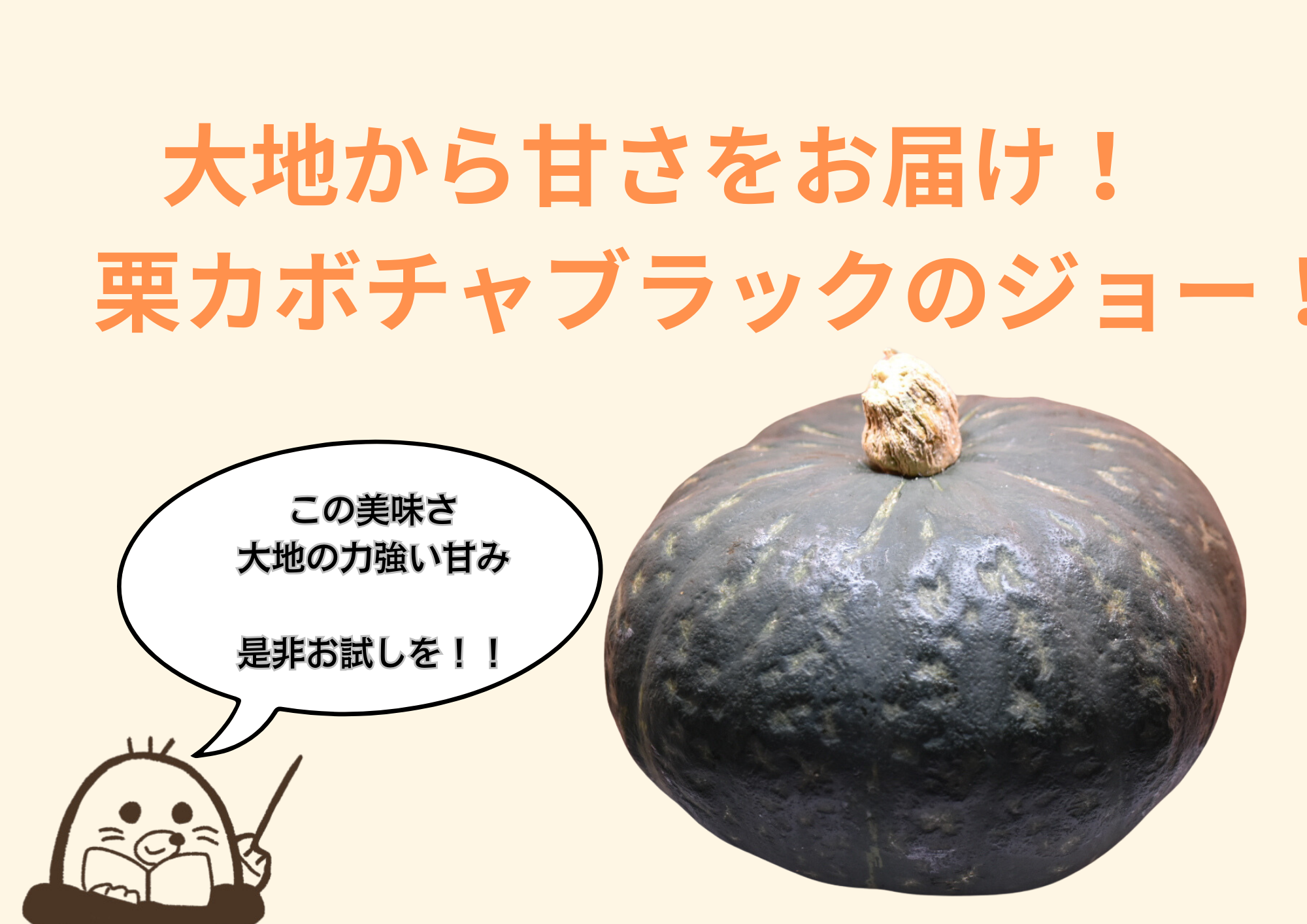 大地から甘さをお届け！栗カボチャブラックのジョー！食べきりやすい