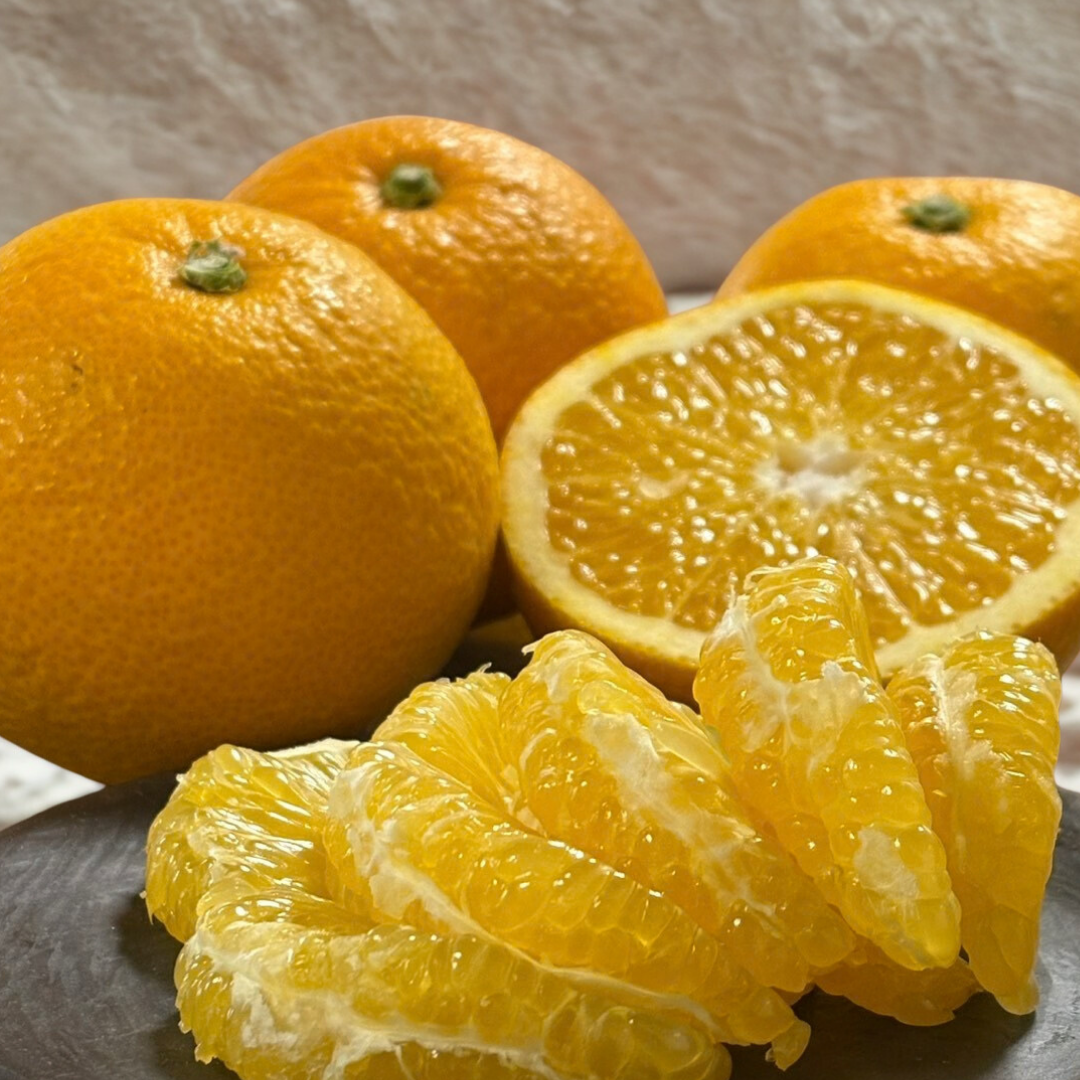 シャキプリの甘酸っぱい和歌山の八朔 2kg：和歌山県産のみかん・柑橘類