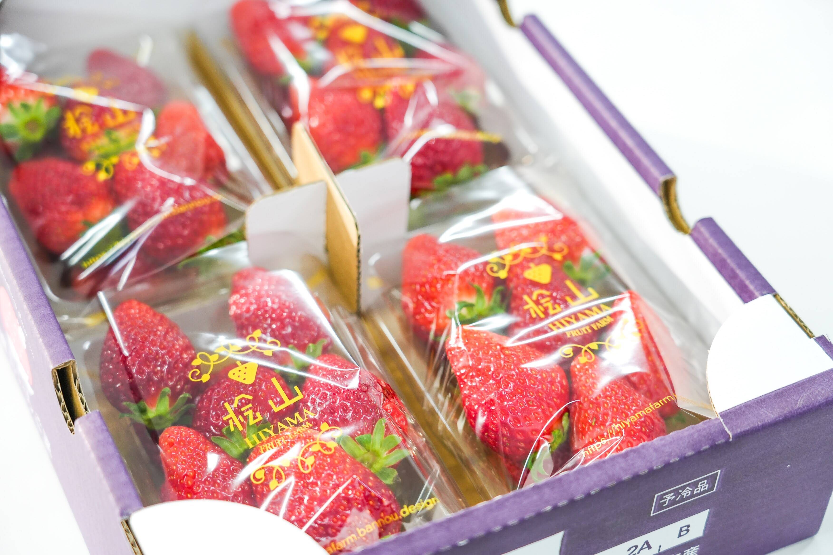 食べ比べ】【いばらキッス・ひたち姫・やよいひめ】茨城県産いちご 4