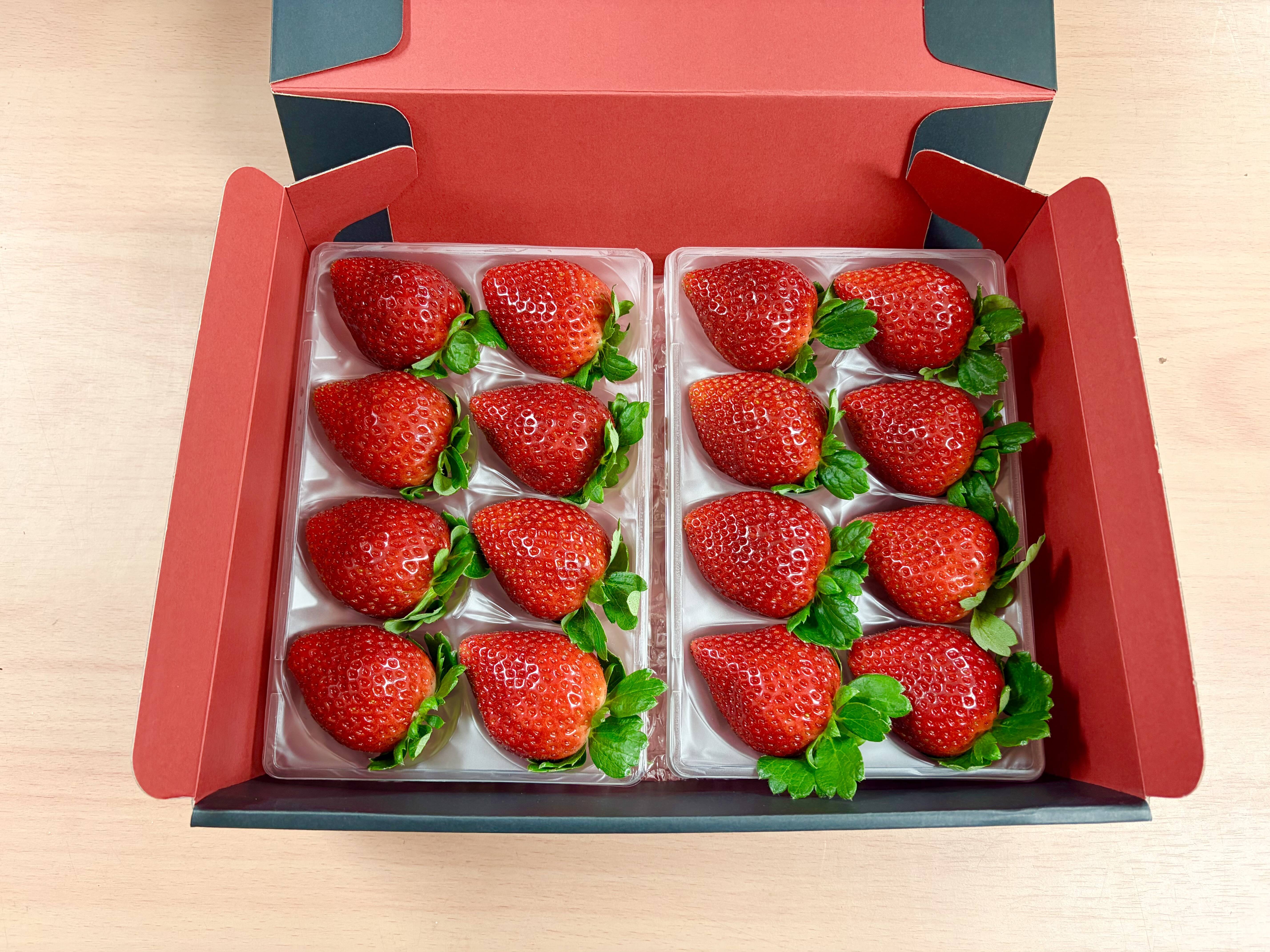 ギフトBOX入り贈答用『とちあいか』フレーズのこだわりいちご(厳選16粒