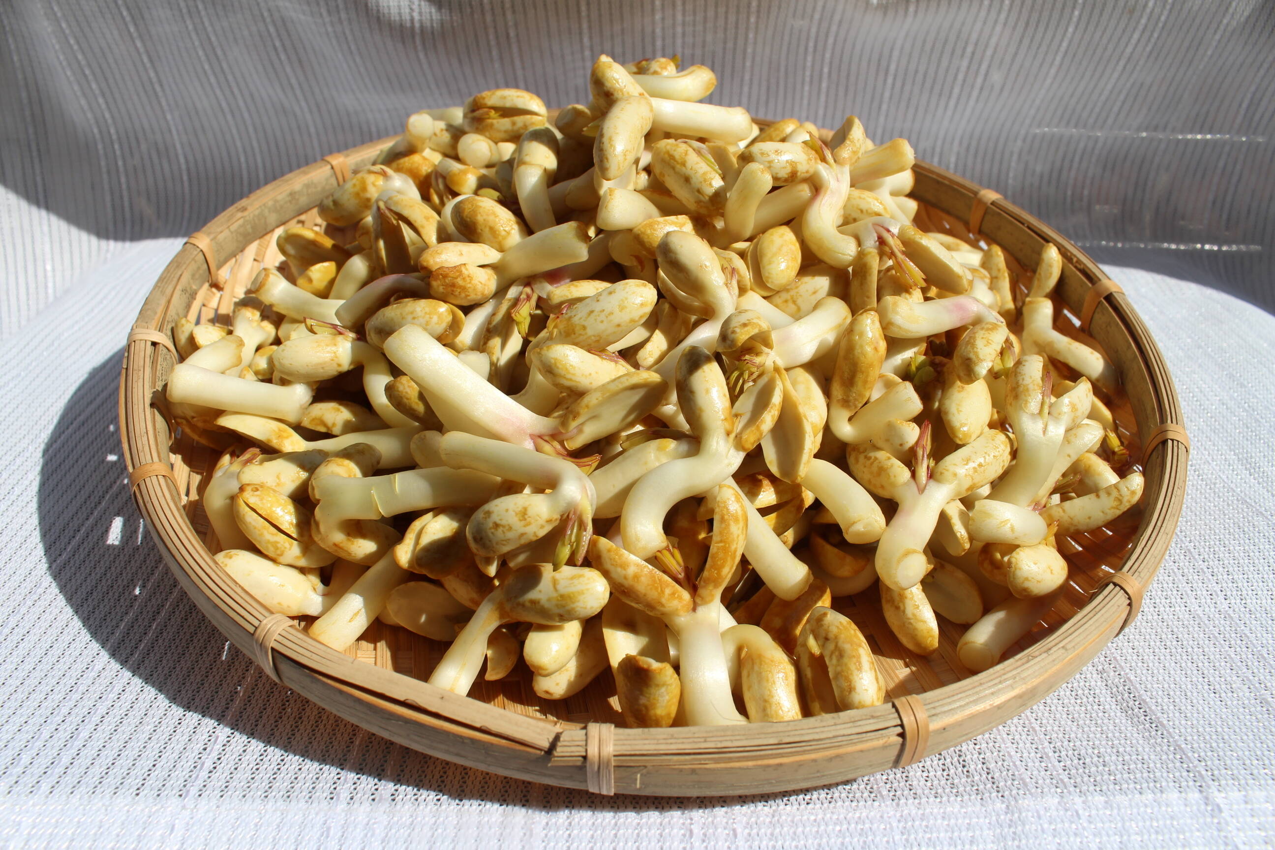 落花生の風味がそのまま ピーナッツもやし 100g 福岡県産の落花生 ピーナッツ 食べチョク 産地直送 産直 お取り寄せ通販 農家 漁師から旬の食材を直送