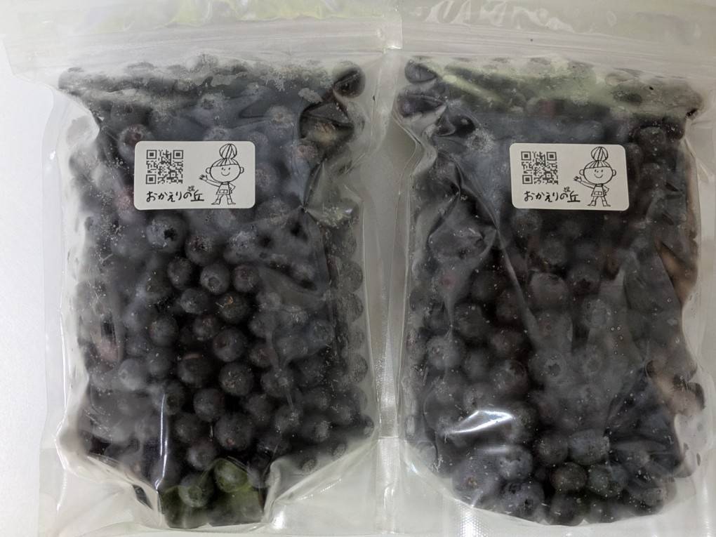 自然栽培⚫︎冷凍ブルーベリー⚫︎700g×2：栃木県産のブルーベリー