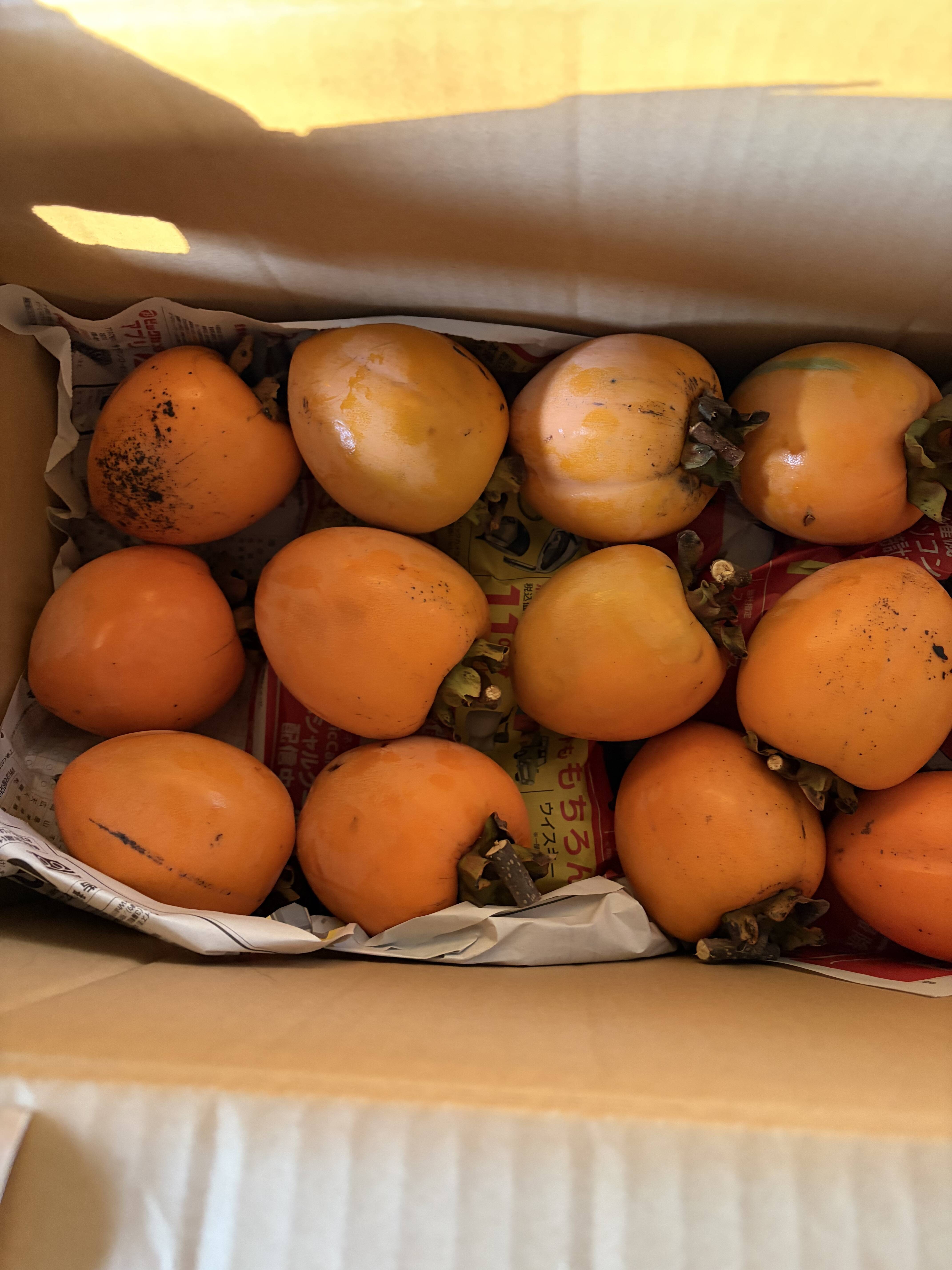 愛媛県丹原町産 あたご柿 干し柿用渋柿 訳あり箱込み10キロ：愛媛県産