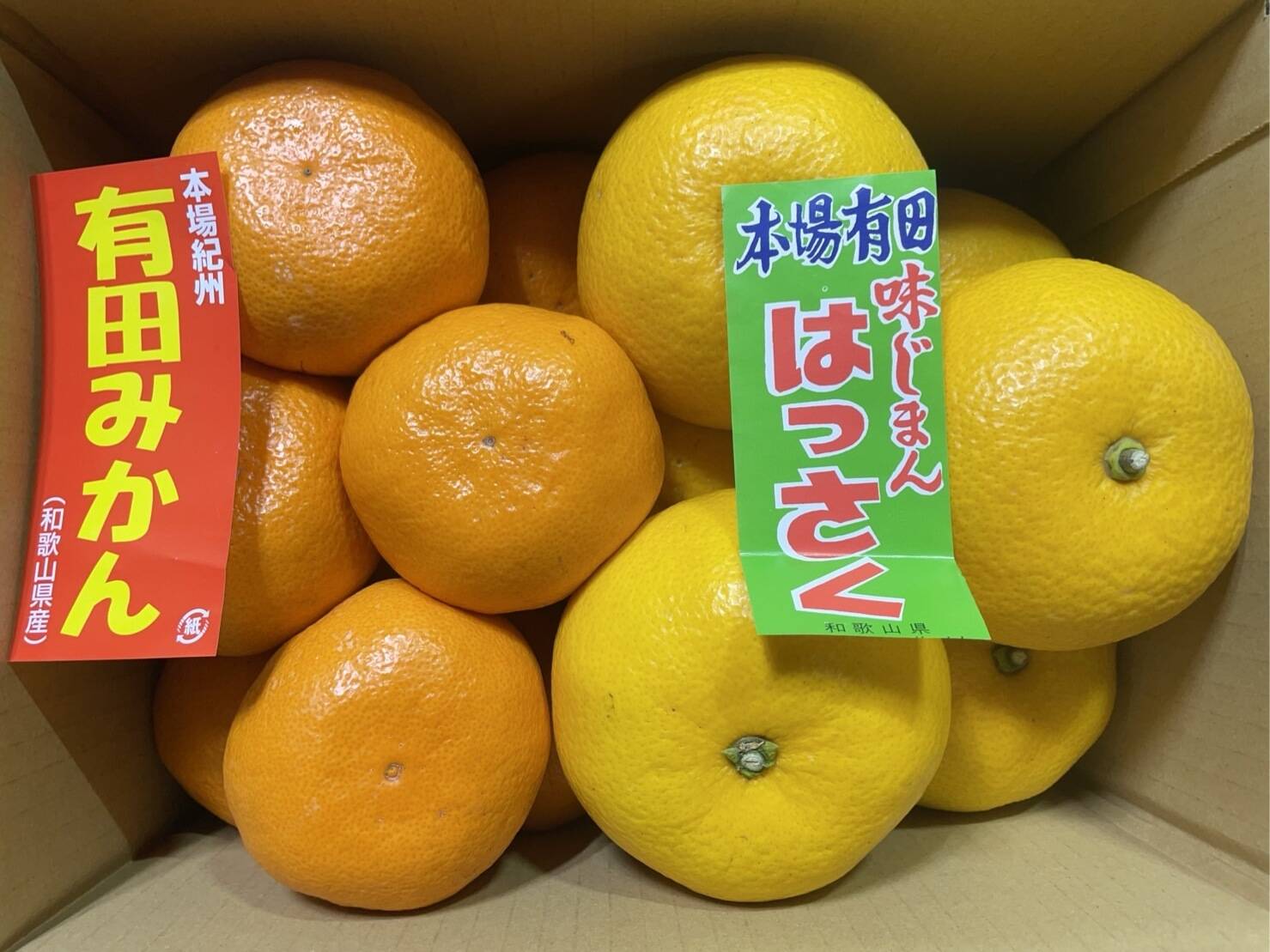 八朔(ハッサク) 奈良県産 80サイズ 約5kg 家庭用 無農薬 - 果物