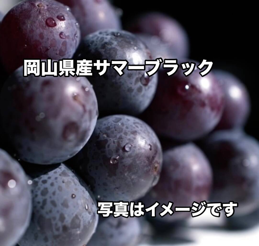 岡山県産 【濃厚なぶどう】サマーブラック🍇2房入り：岡山県産のサマー
