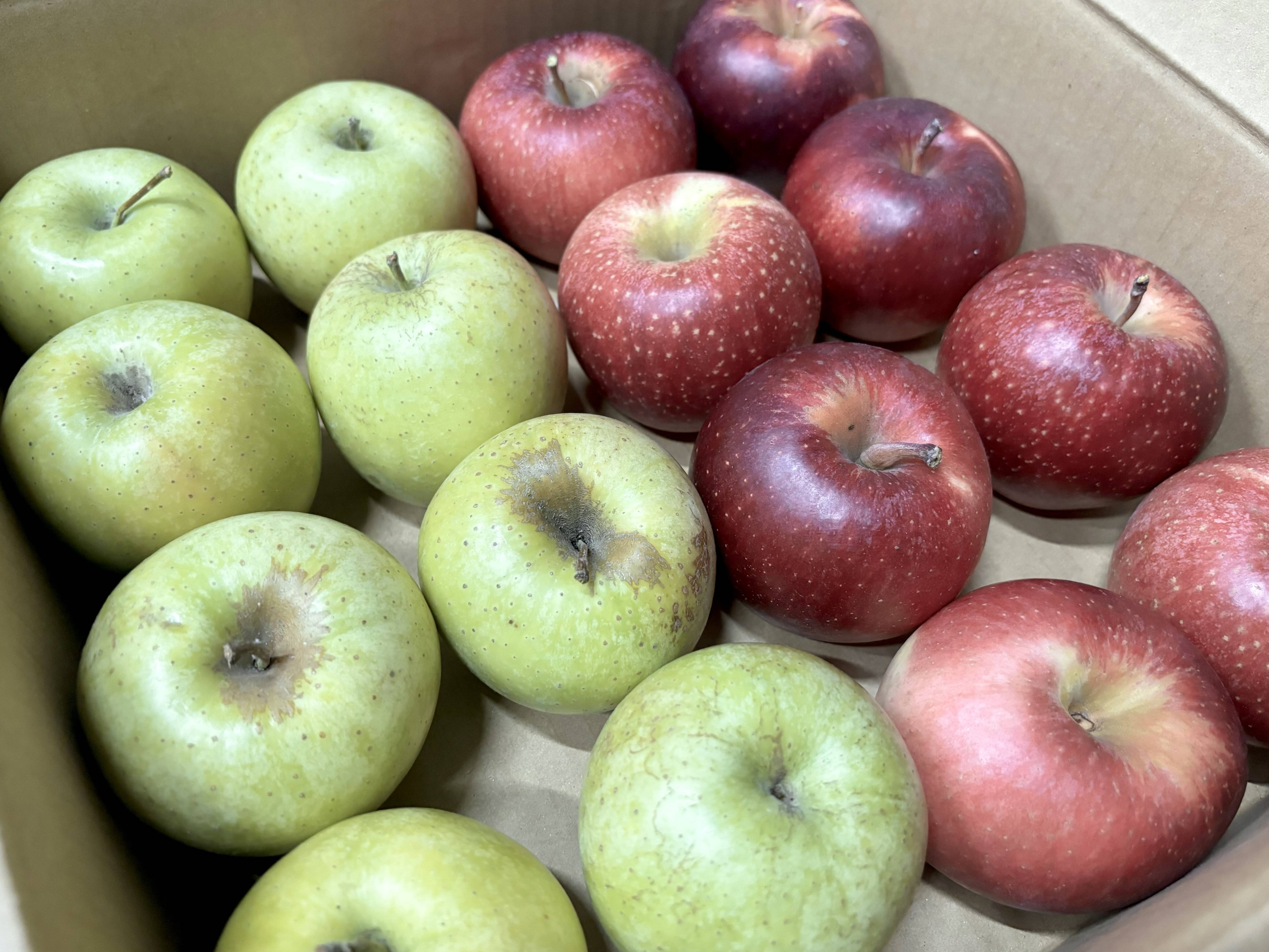 在庫限り【王林・シナノホッペ】小玉約3.5kg(16玉)バラ詰め🍎食べ比べ