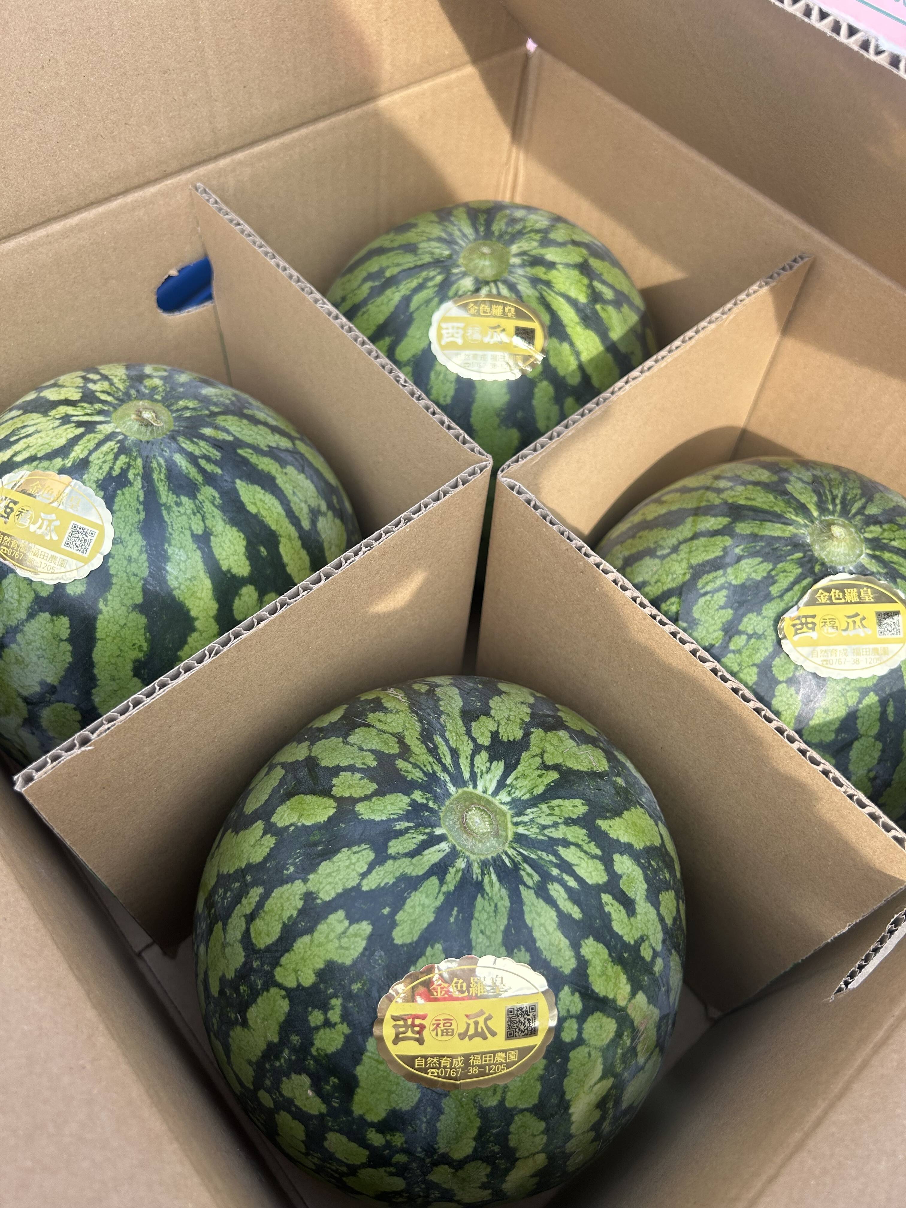 富良野産 西瓜 スイカ 金色羅皇&羅皇　計16kg超 正品 富良野産 西瓜 スイカ 金色羅皇&羅皇 計16kg超 正品 北海道産