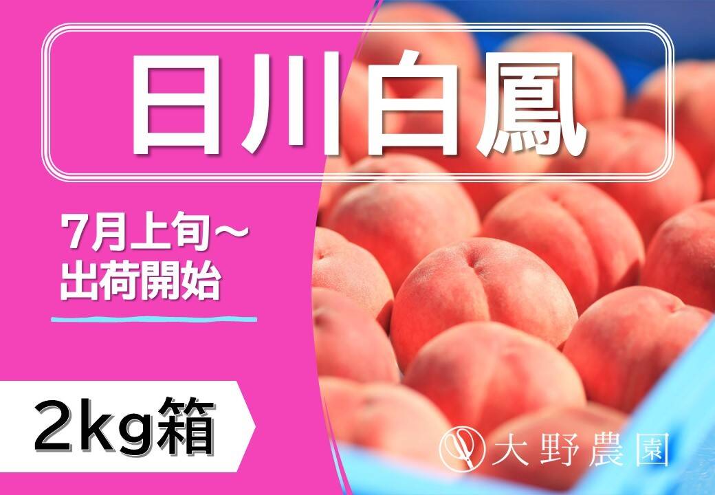 ☆小玉・中玉☆桃2kg箱 - 通販 - olgapuri.org