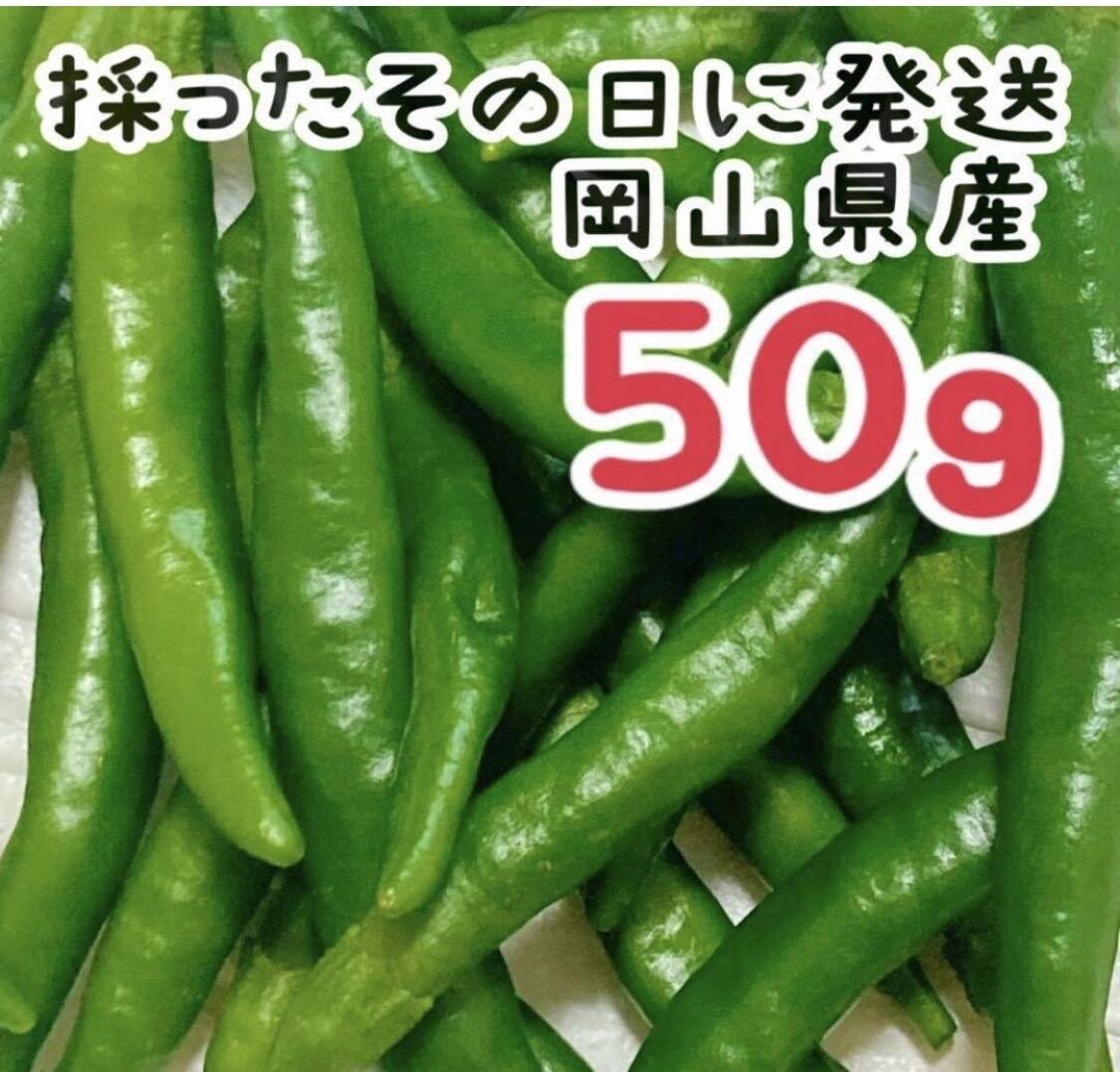 青唐辛子 50g 岡山県産：岡山県産の野菜｜食べチョク｜産地直送(産直