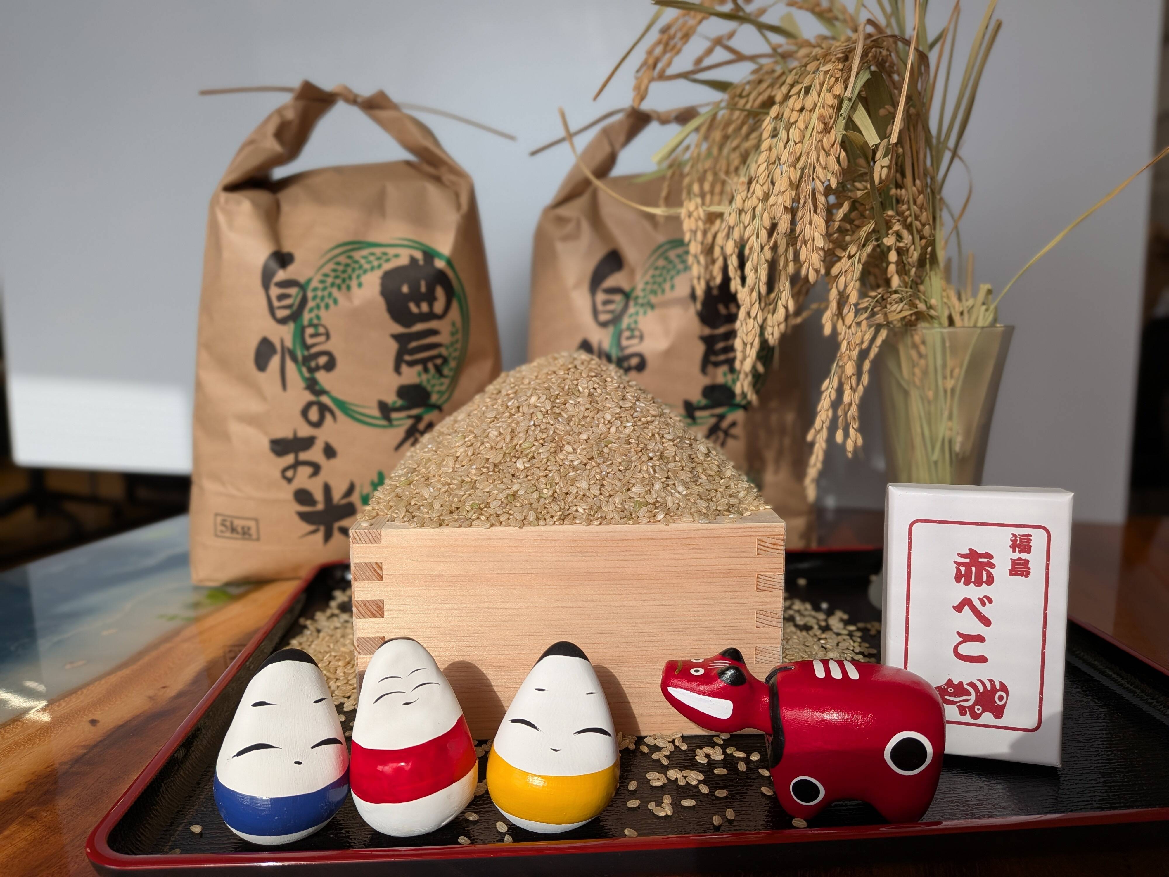 会津米 令和7年産 コシヒカリ 10キロ （玄米）：福島県産のお米｜食べ