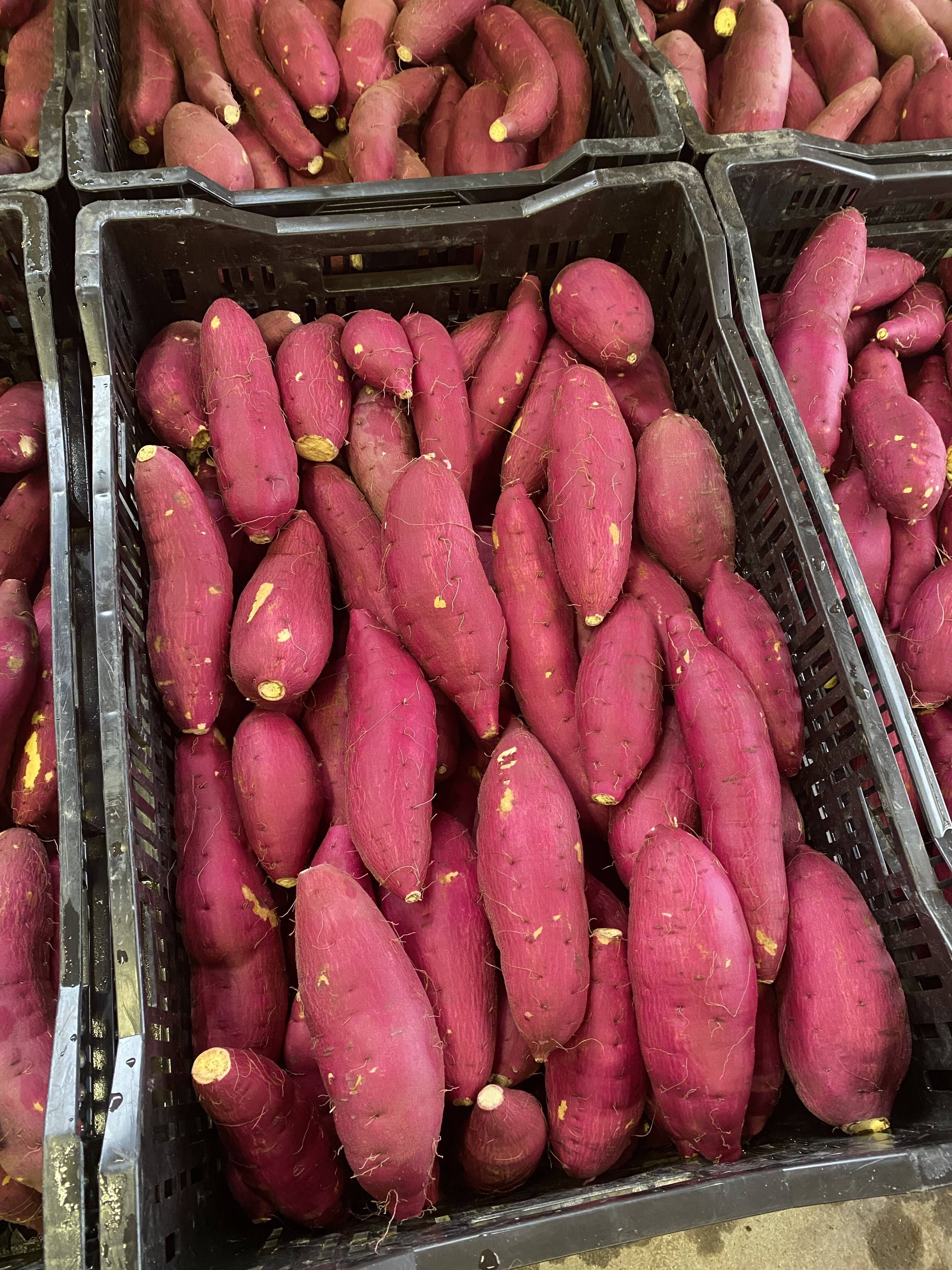 4b6007c2ef03391322bd18748ececd