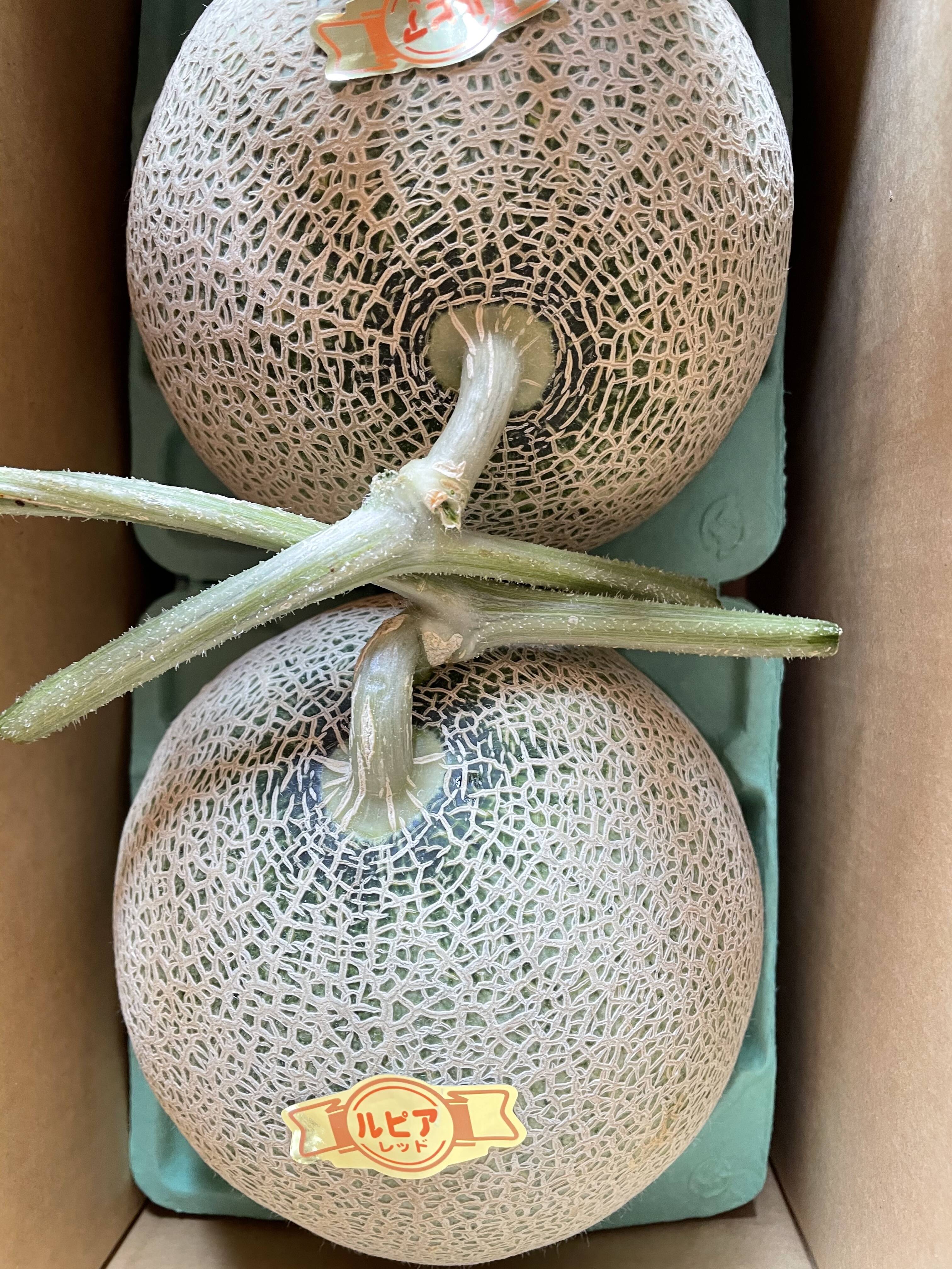 人気商品】鮮やかなオレンジ色 北海道の赤肉メロン2玉入（中玉