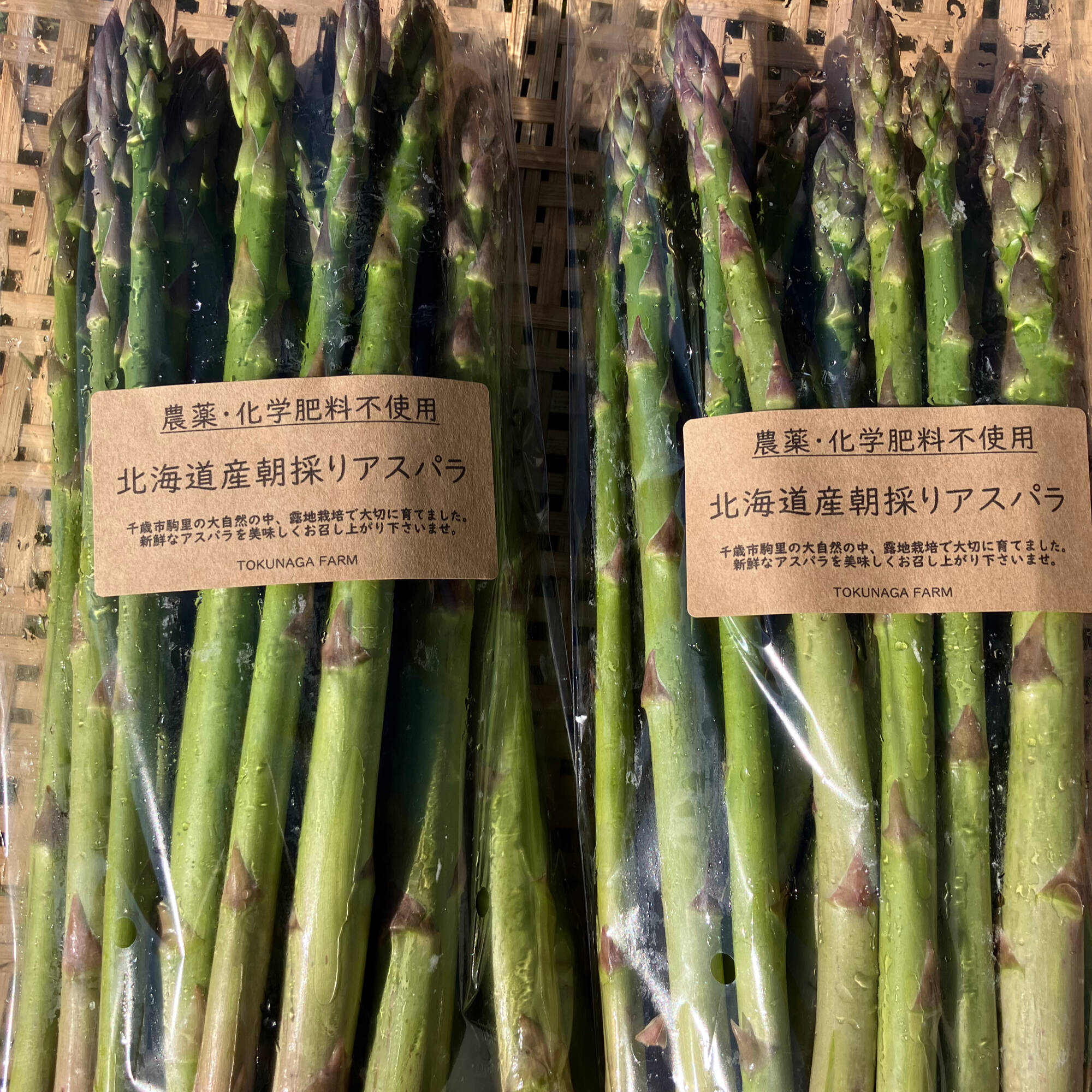 専用北海道産 アスパラガス 苗 株 ポールトム 1.5年培養苗／2株セット 北海道産 アスパラガス 苗 株 ポールトム 1.5年培養苗／5株