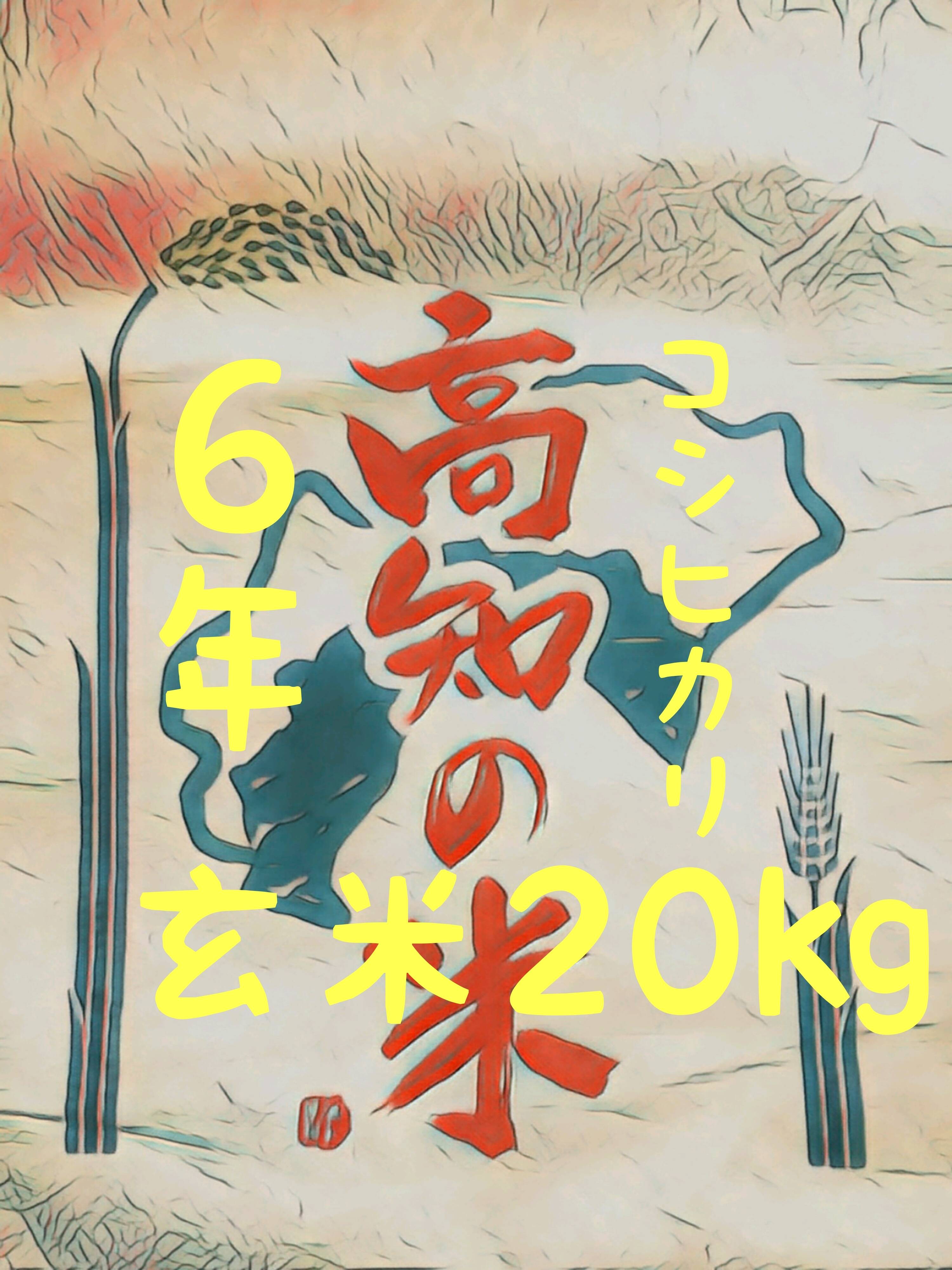 令和6年産 高知県産 コシヒカリ 玄米20㎏(袋込み)：高知県産のお米｜食べチョク｜産地直送(産直)お取り寄せ通販 - 農家・漁師から旬の食材を直送