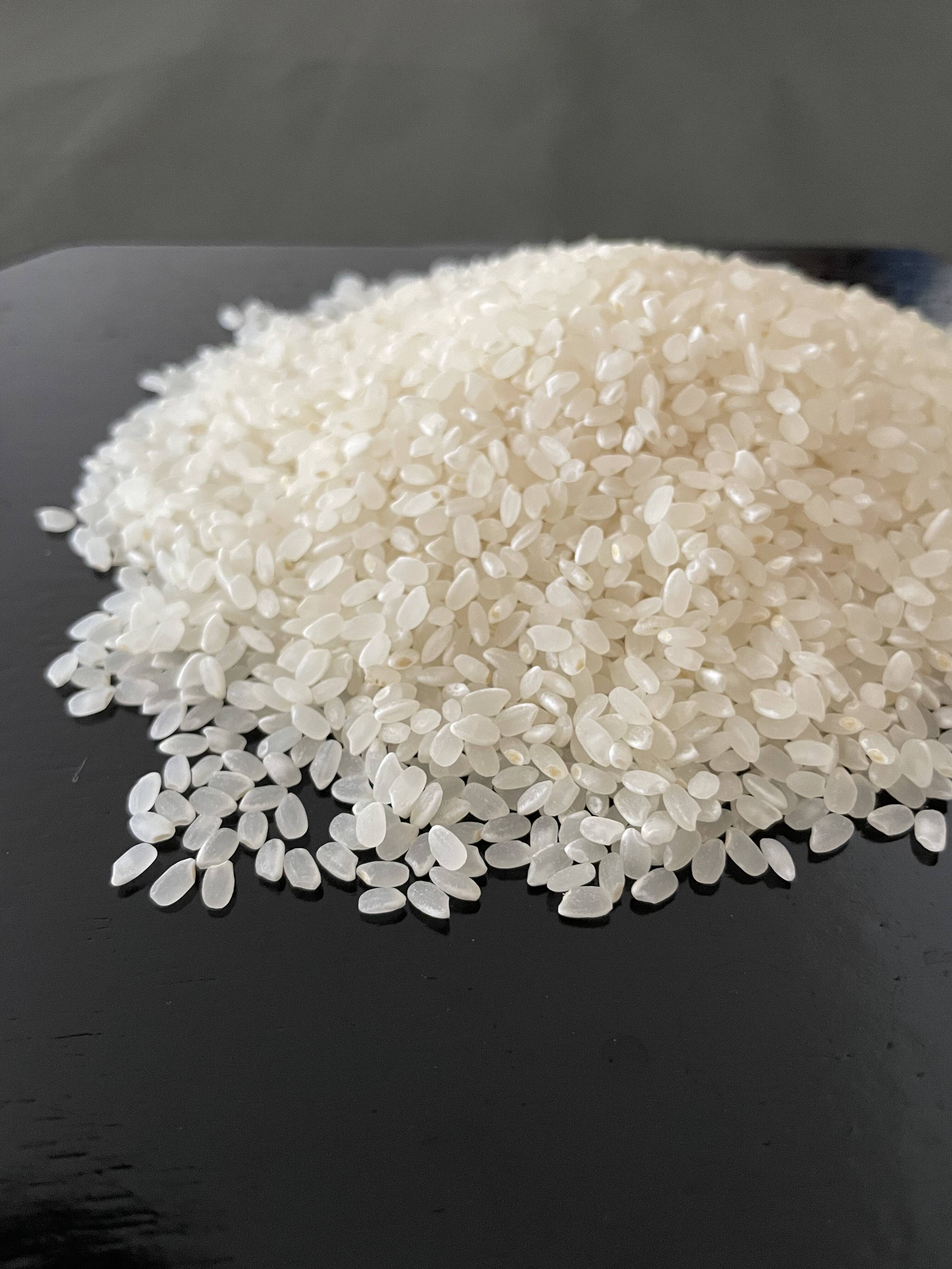 令和8年産】自然栽培コシヒカリ・白米（20kg）【栽培期間中・化学肥料