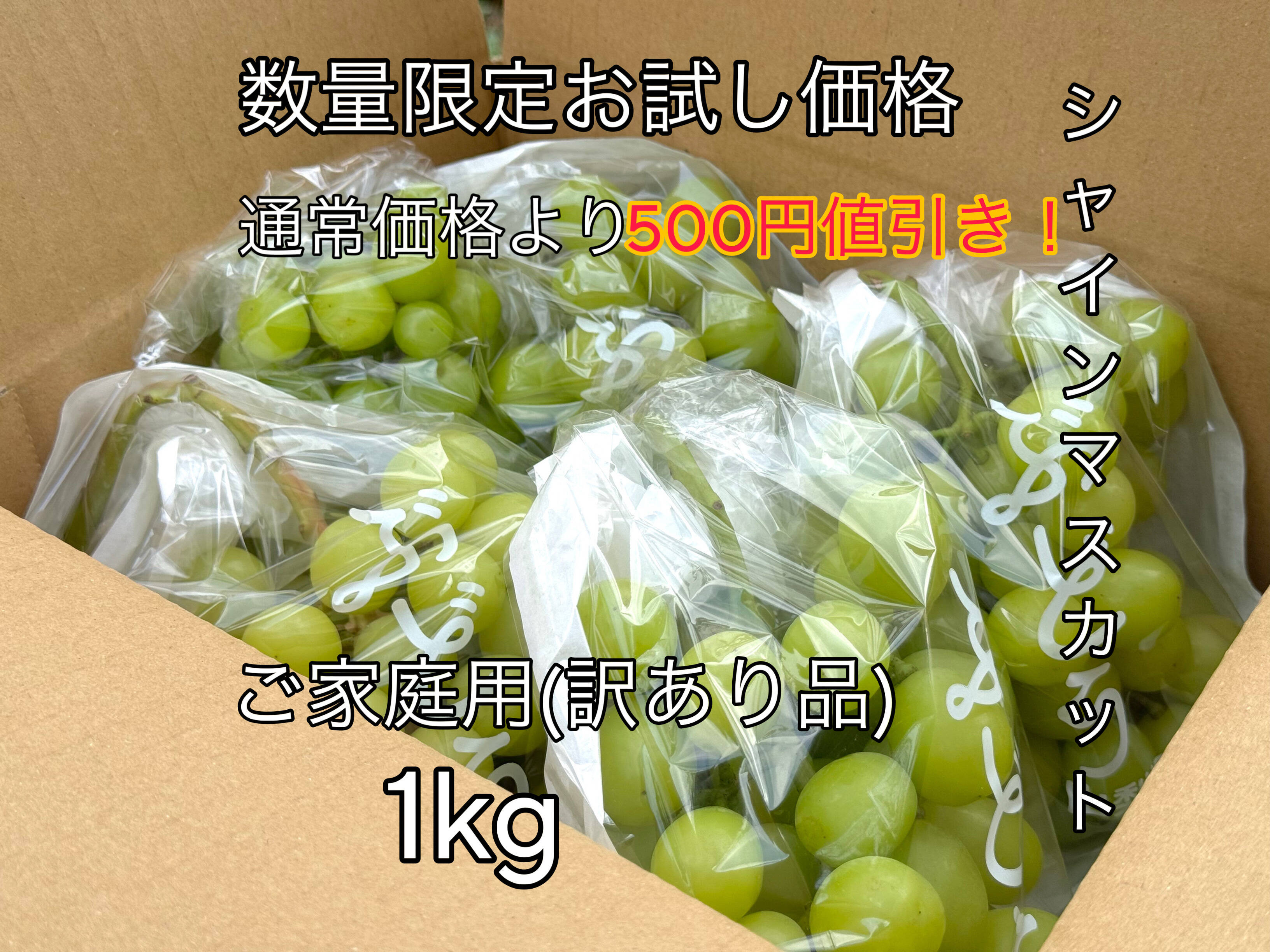 1キロあたり2,000円ポッキリ訳ありシャインマスカットは私がお安く売ります。 数量限定お試し価格】シャインマスカットご家庭用(訳あり品