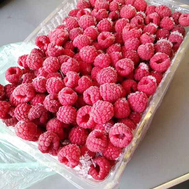 ★ラズベリー様、専用出品★ 4be05bafe22b51cb666f57feae1bd2