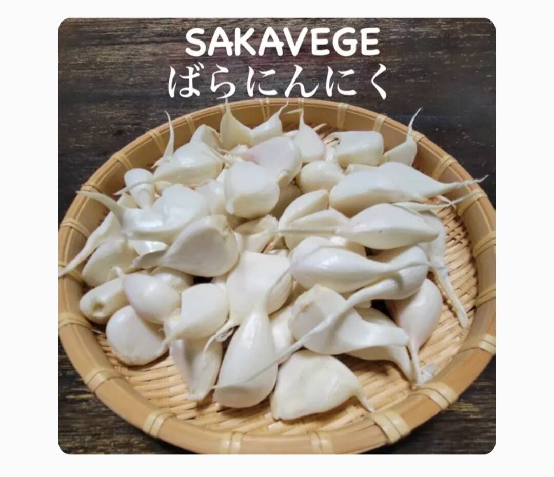 訳ありバラにんにく1000g：香川県産のにんにく｜食べチョク