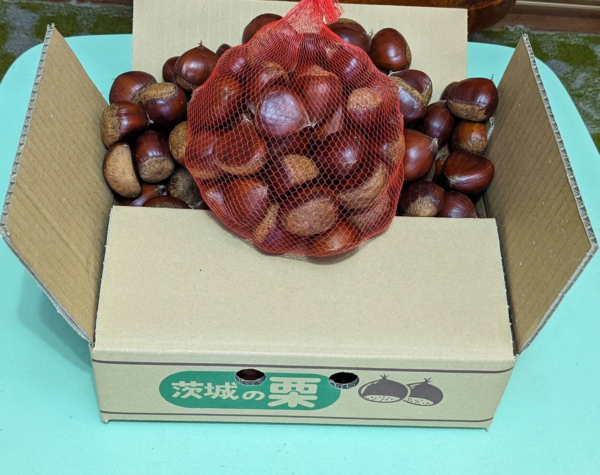 ブランド笠間の栗 800g（標準サイズLM）：茨城県産の品種おまかせ