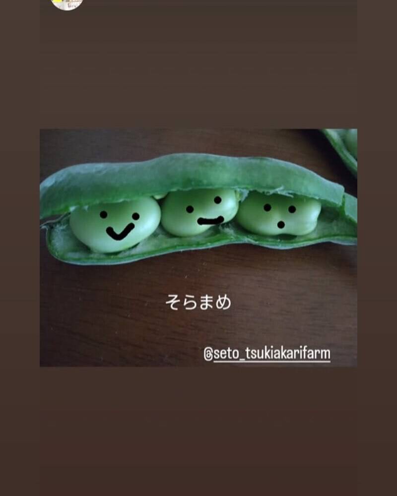 瀬戸内よりお届け！愛媛県産そらまめ（さぬき長そらまめ）2㎏【約80