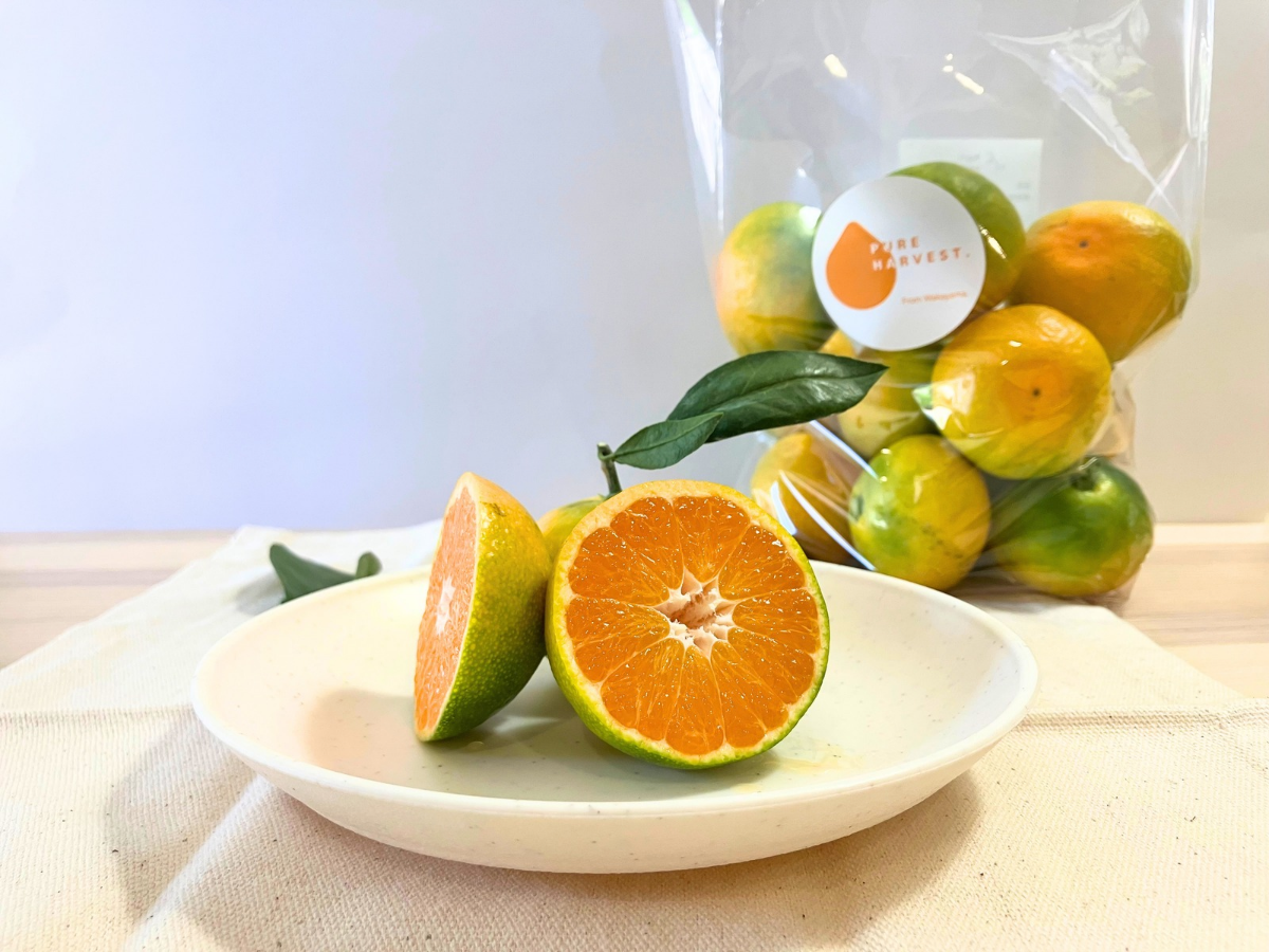予約早割・100箱限定】薄皮で濃厚！和歌山・下津のゆら早生みかん 5kg