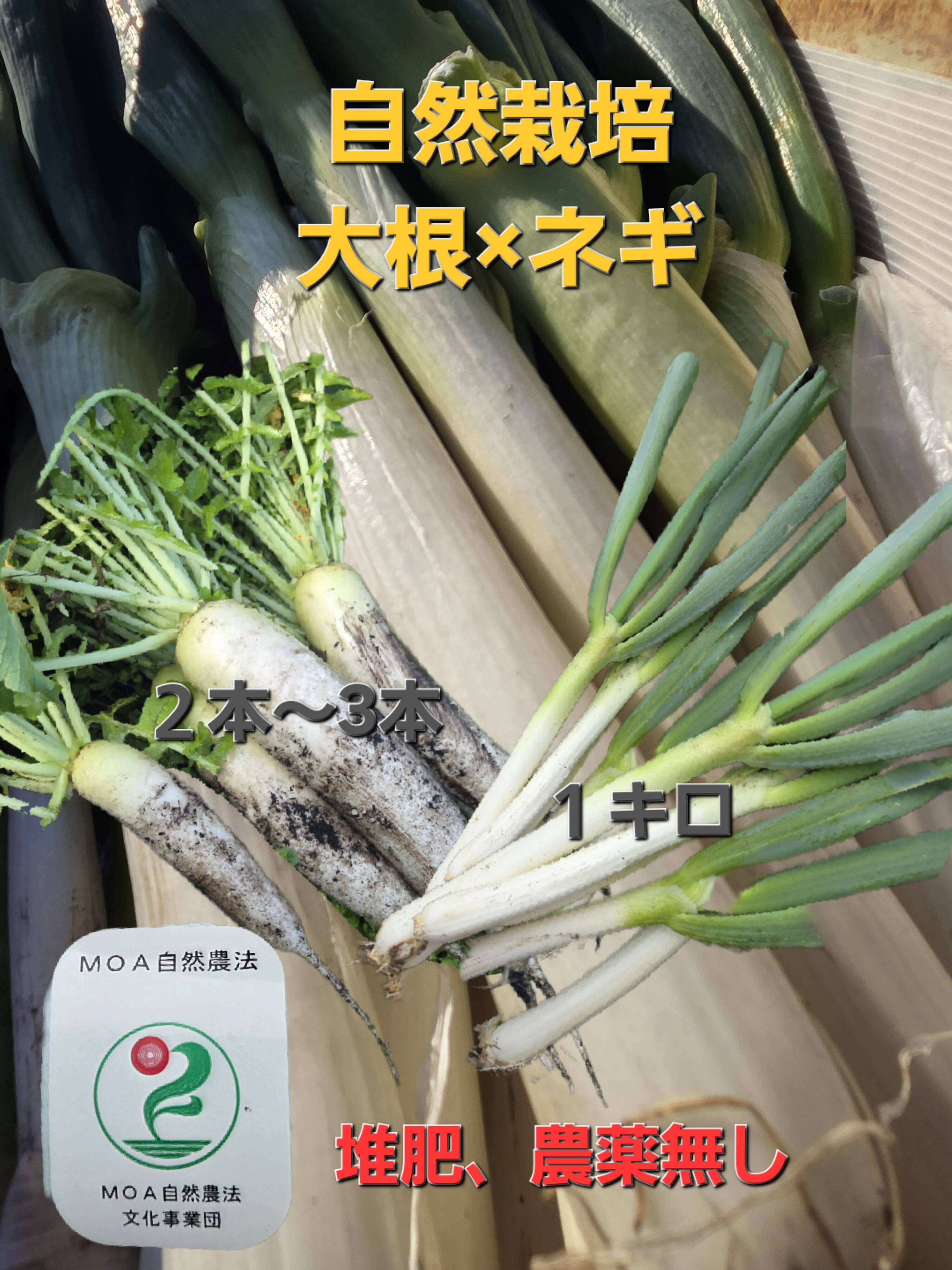 同梱発送】自然栽培大根×ネギ：青森県産の野菜｜食べチョク｜産地直送