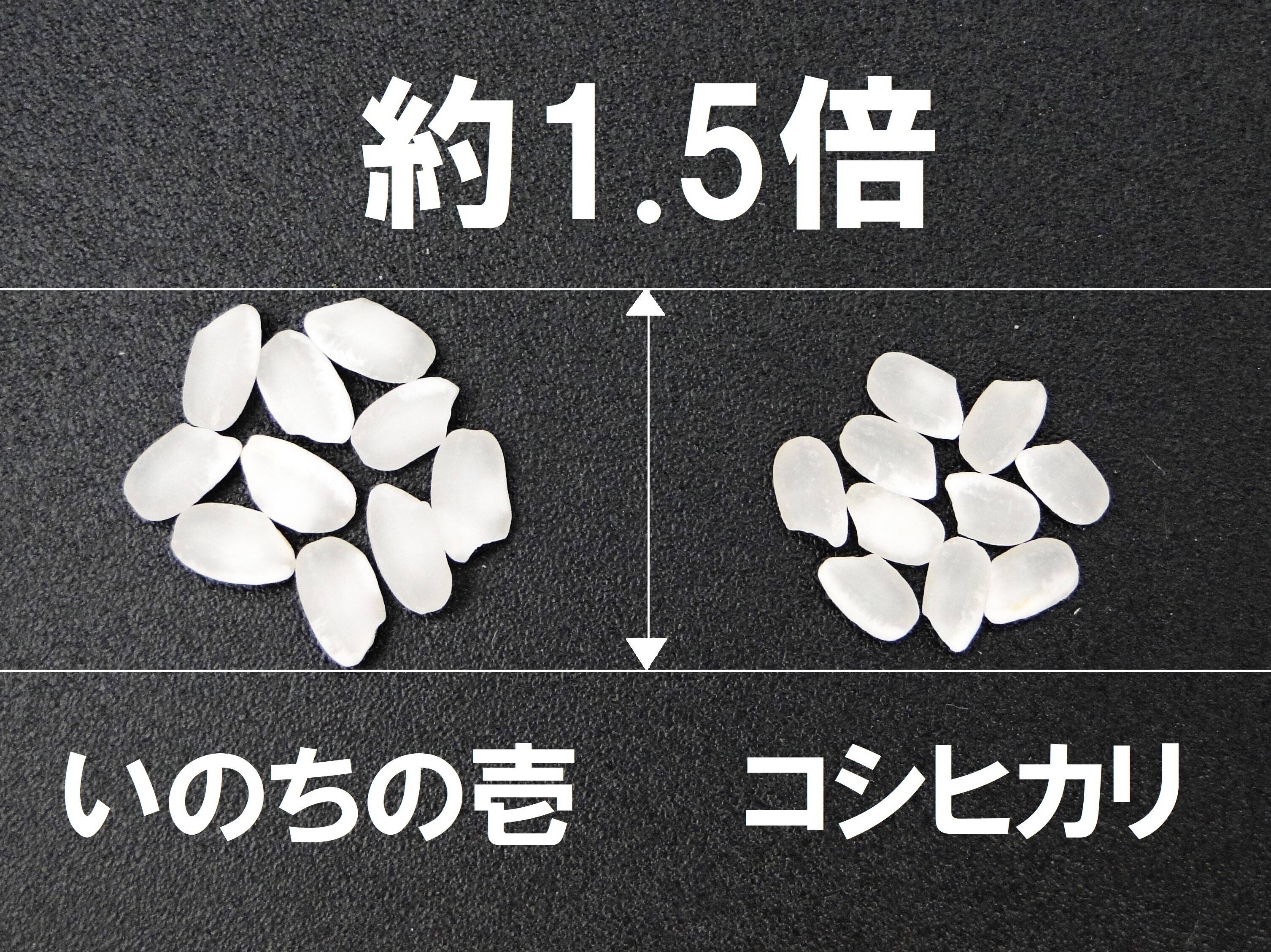 4c9d82d2306861849a828326e9e749